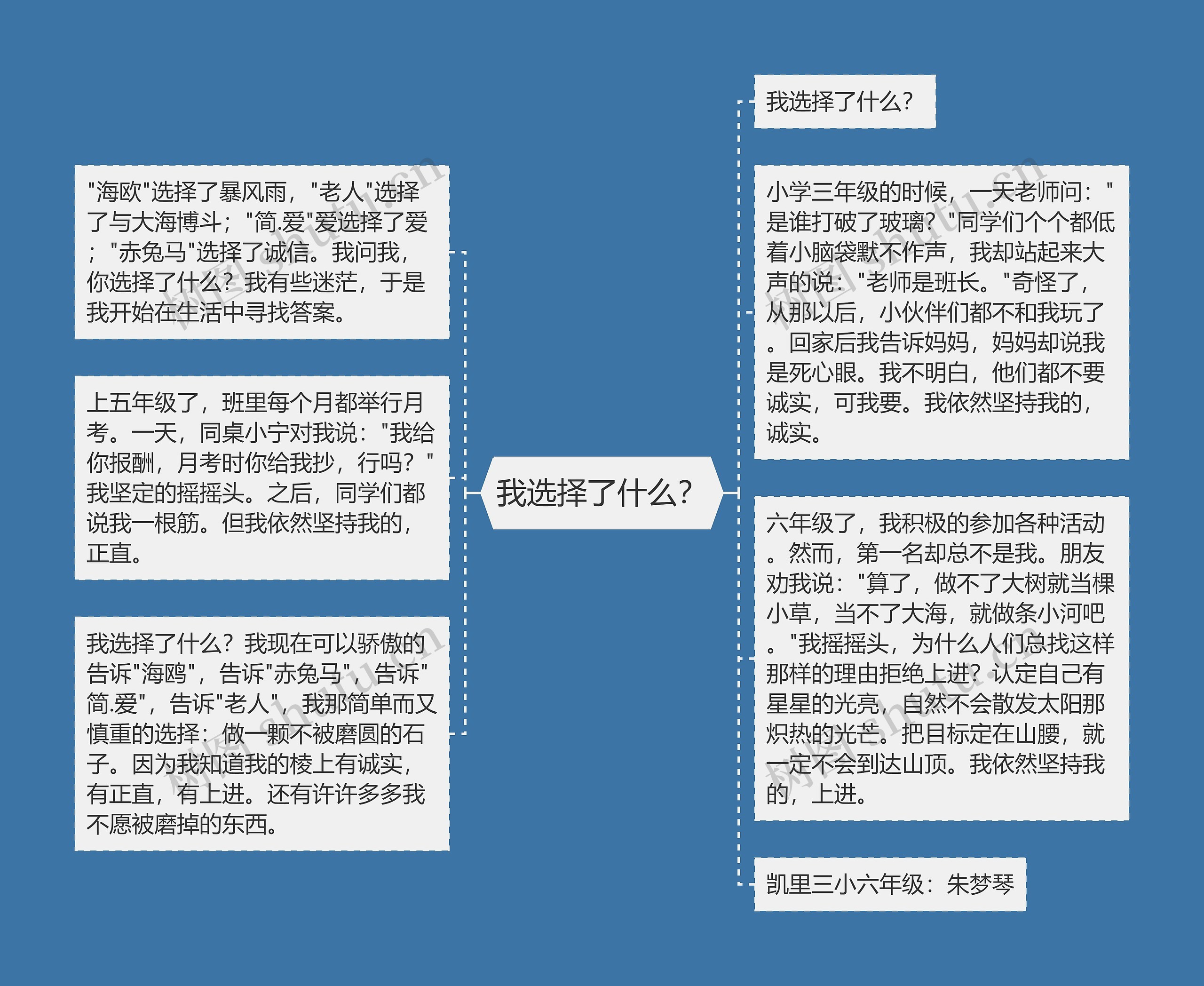 我选择了什么？思维导图