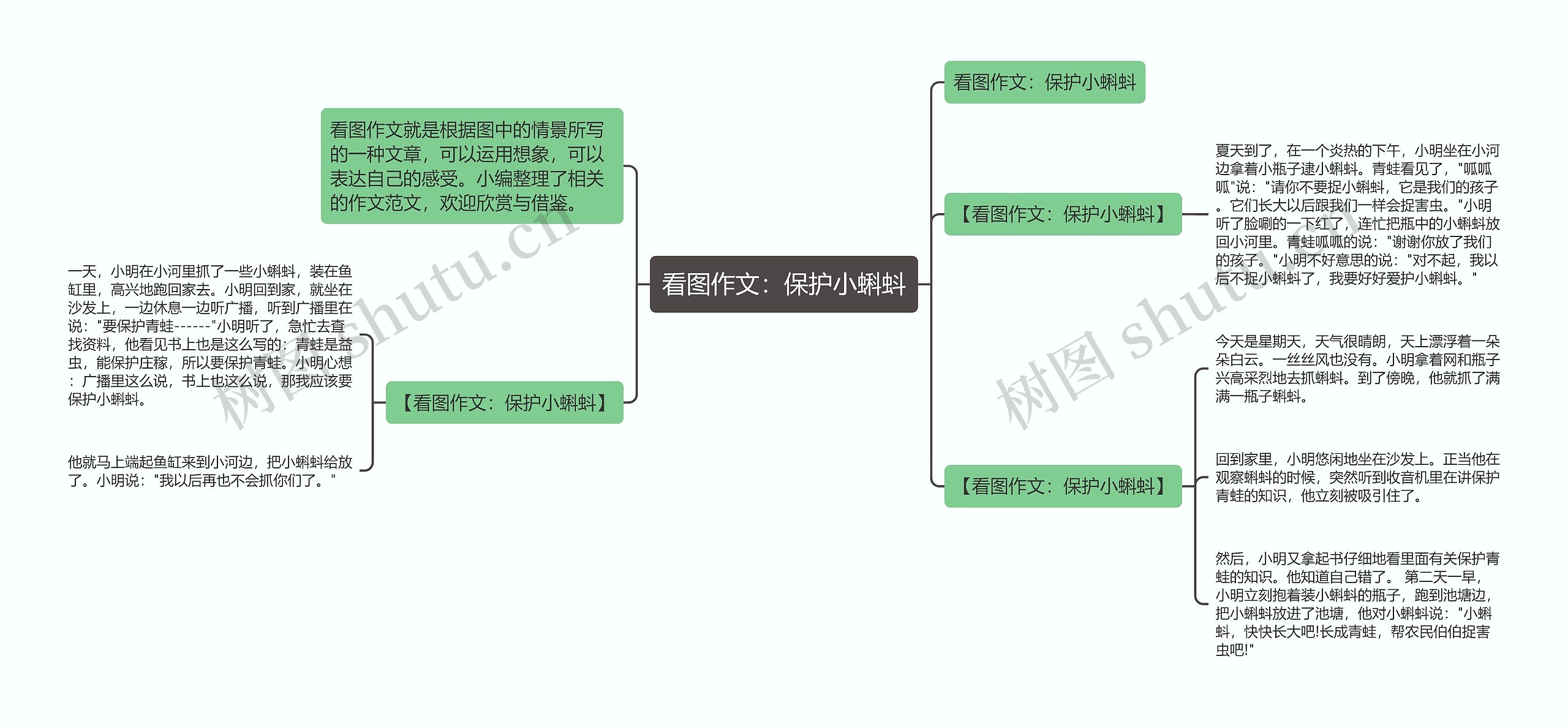 看图作文：保护小蝌蚪