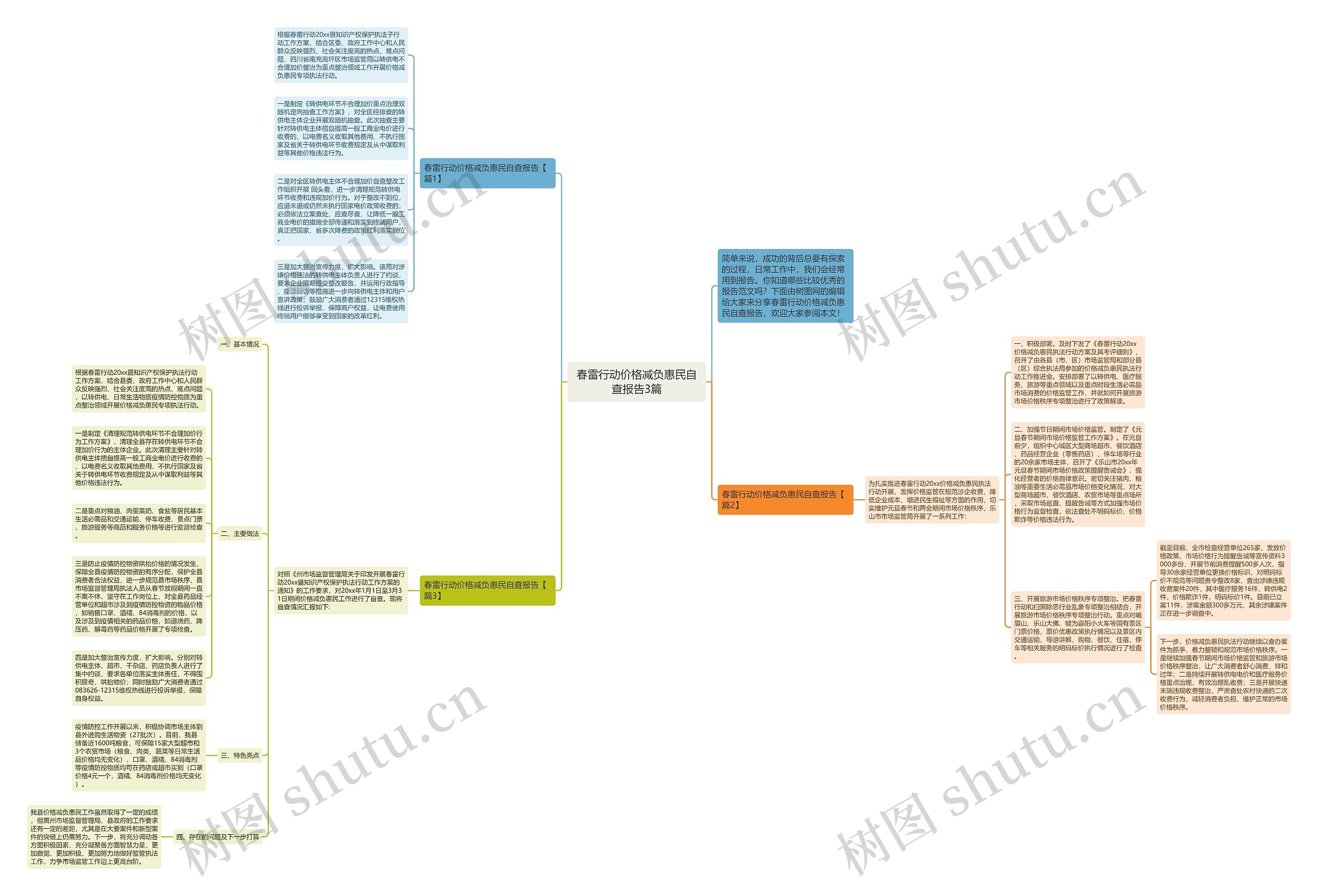 春雷行动价格减负惠民自查报告3篇思维导图