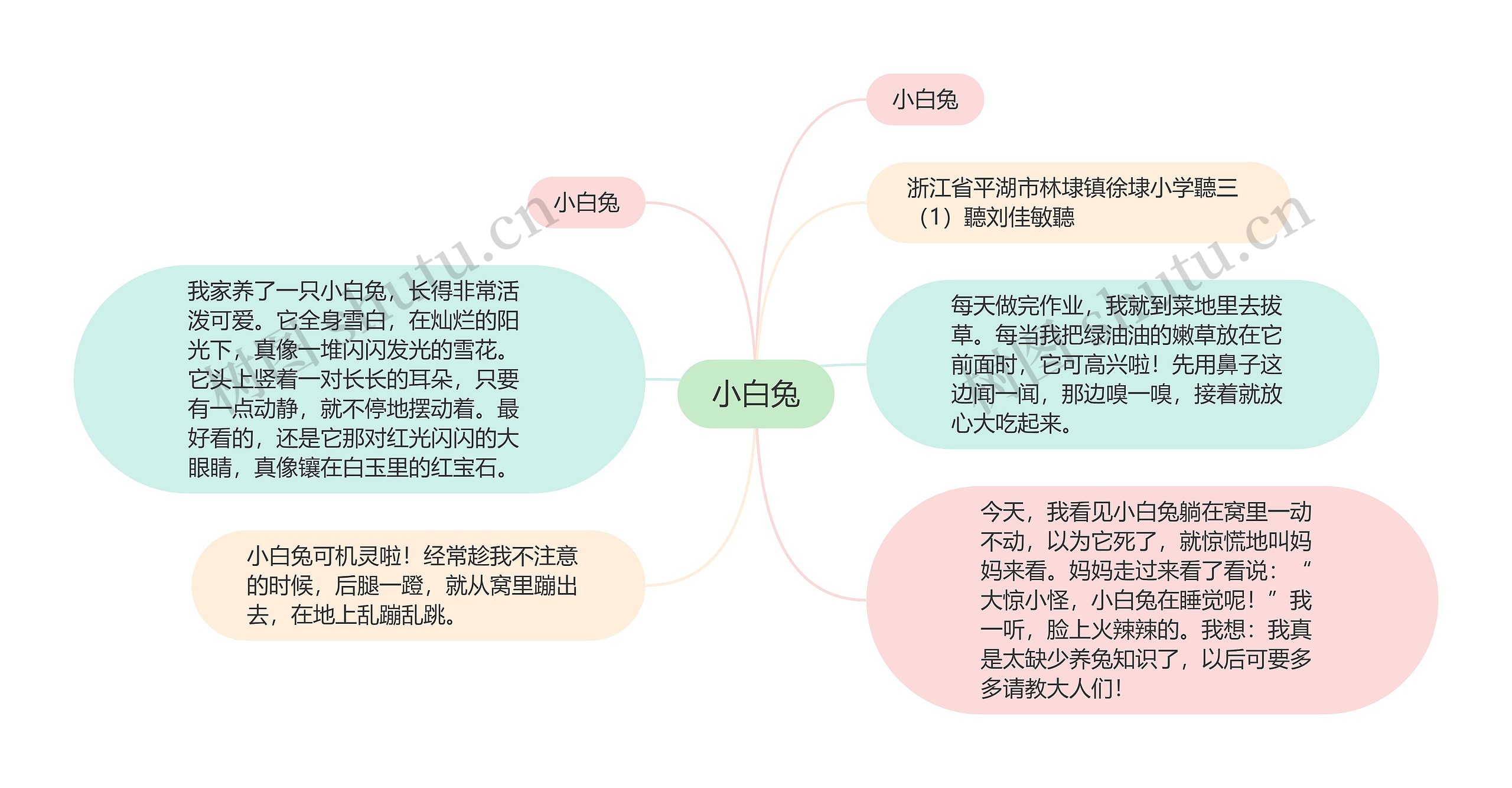 小白兔思维导图