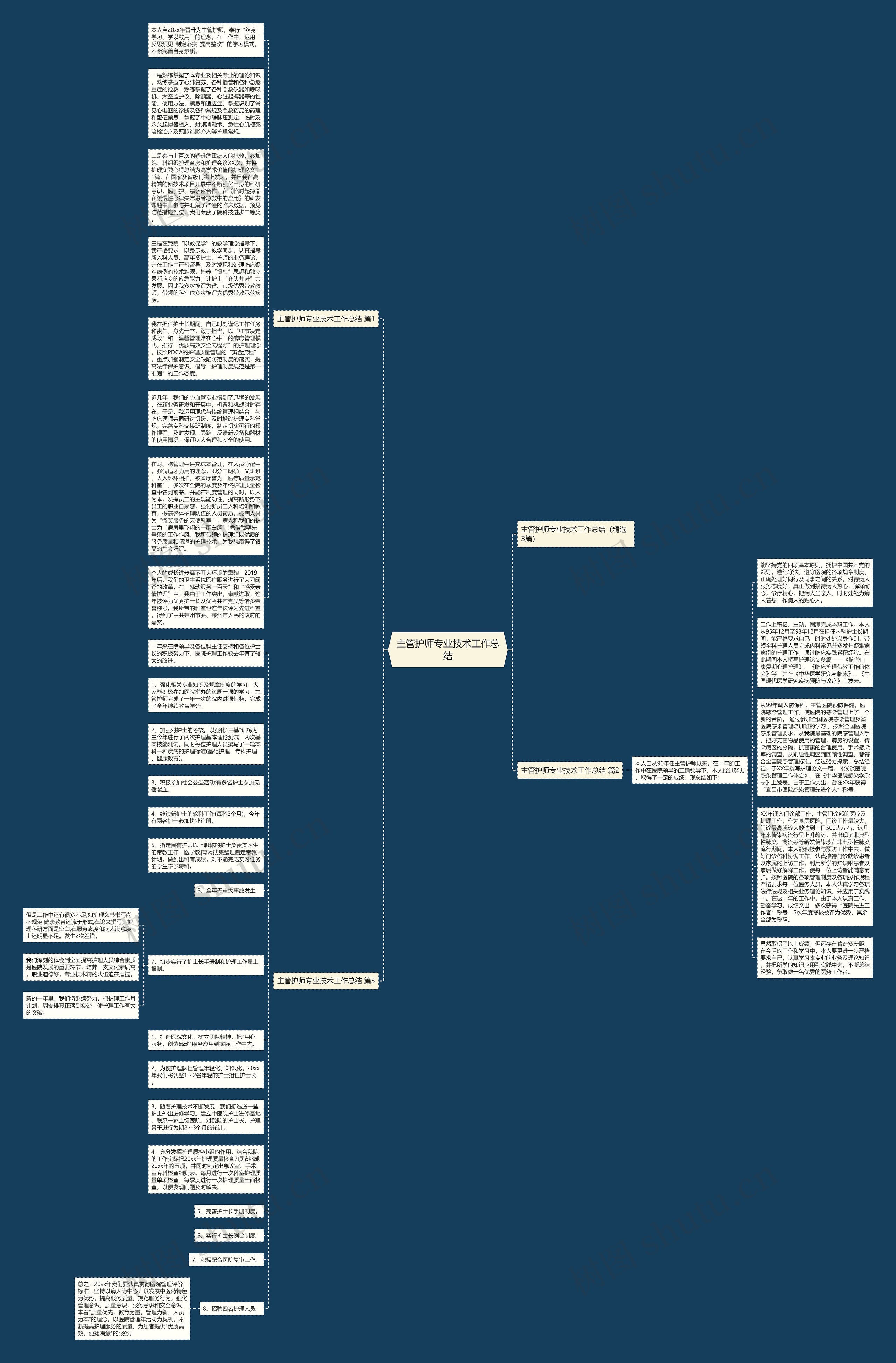 主管护师专业技术工作总结思维导图