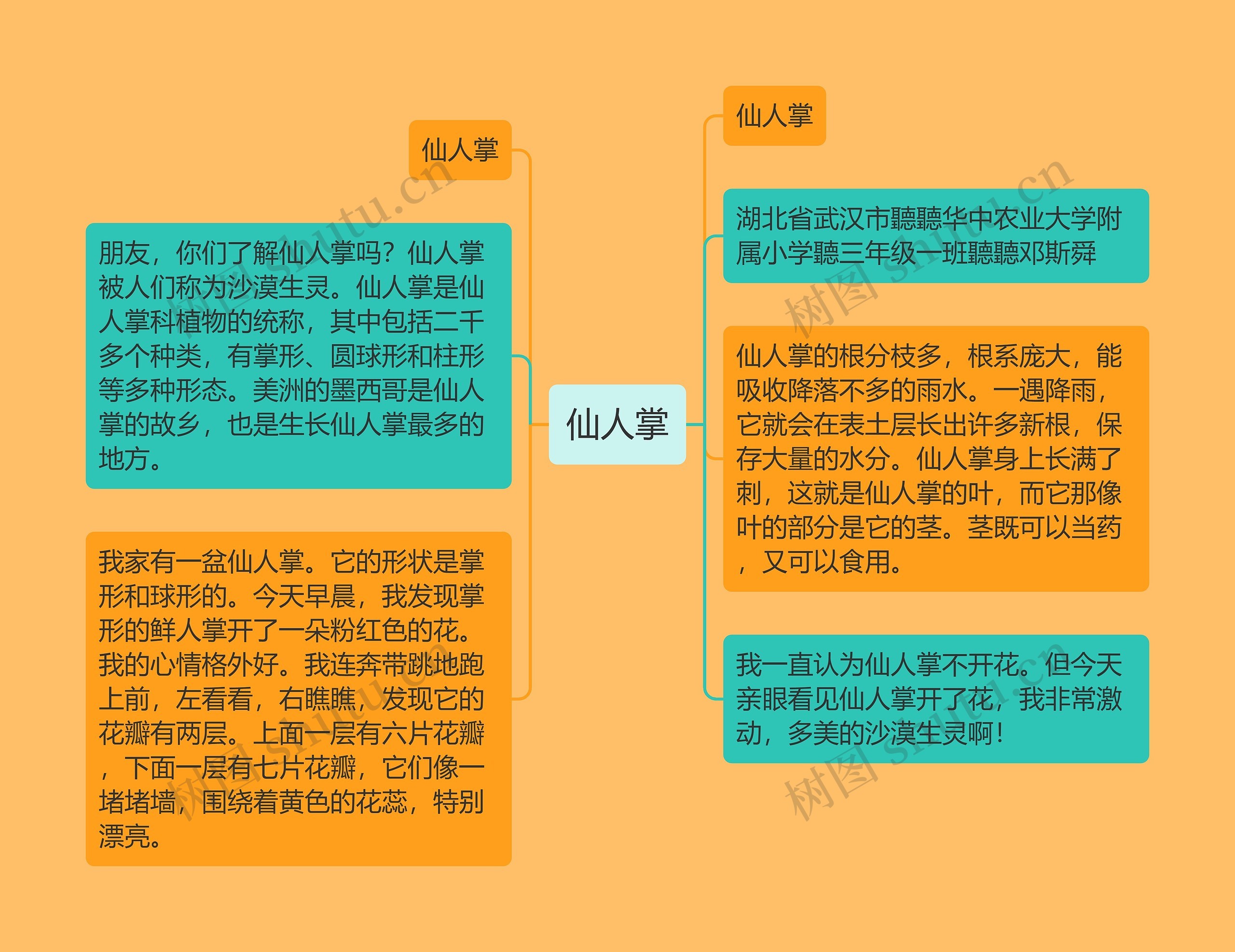 仙人掌