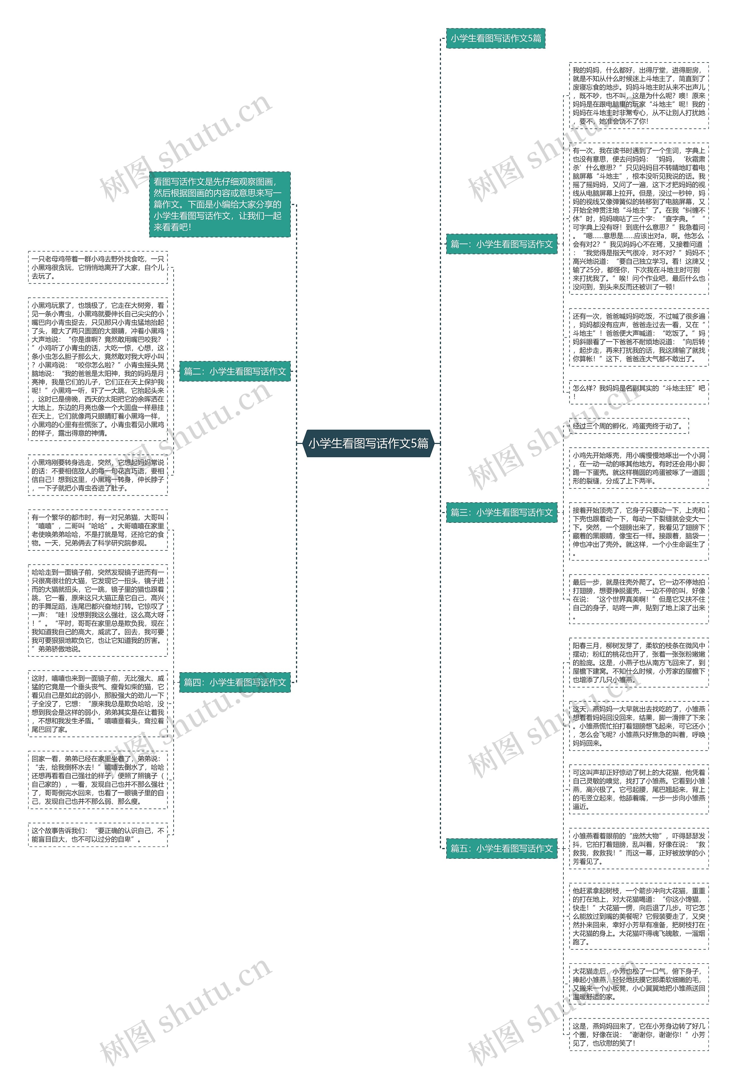 小学生看图写话作文5篇思维导图