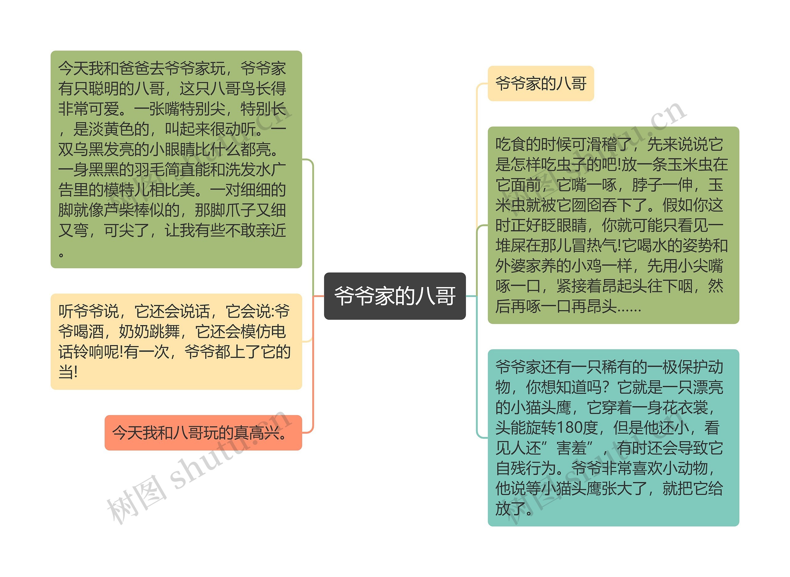 爷爷家的八哥思维导图