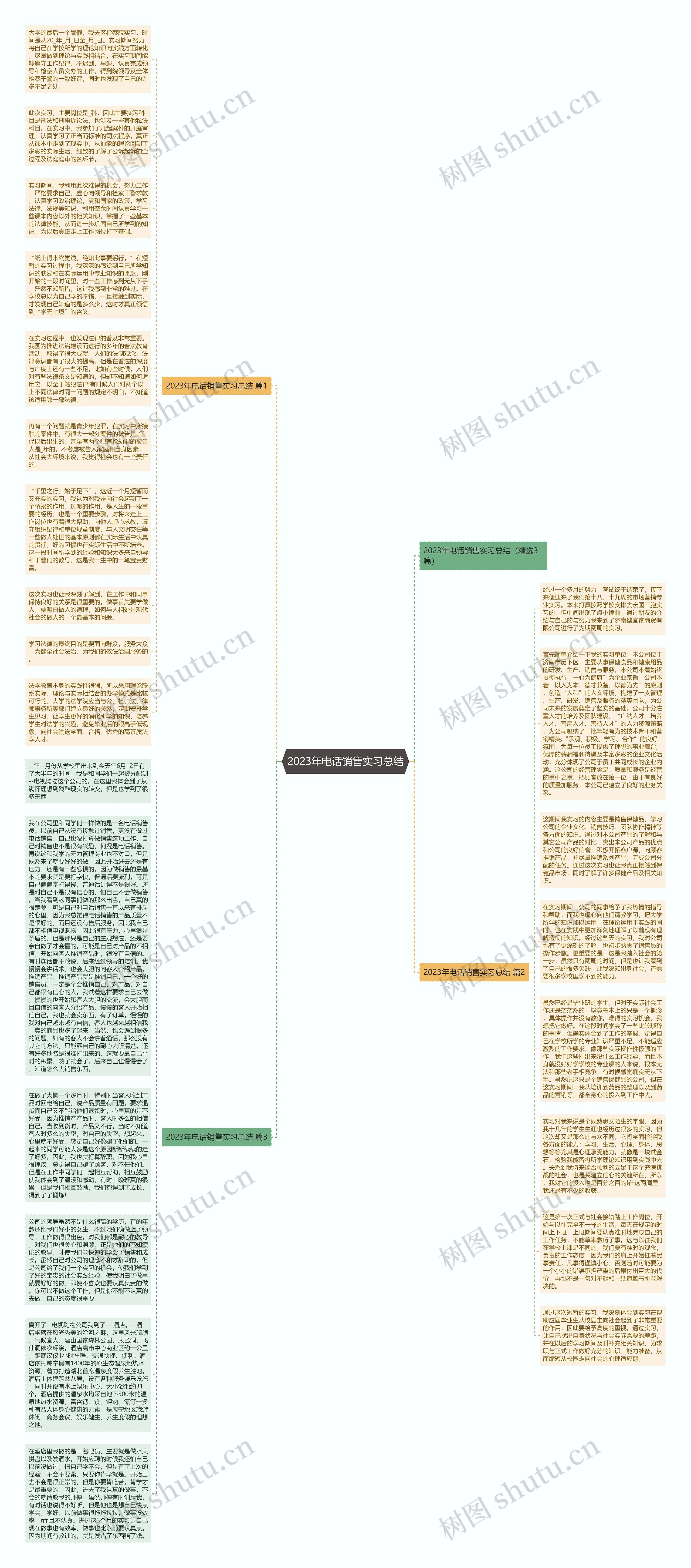 2023年电话销售实习总结思维导图