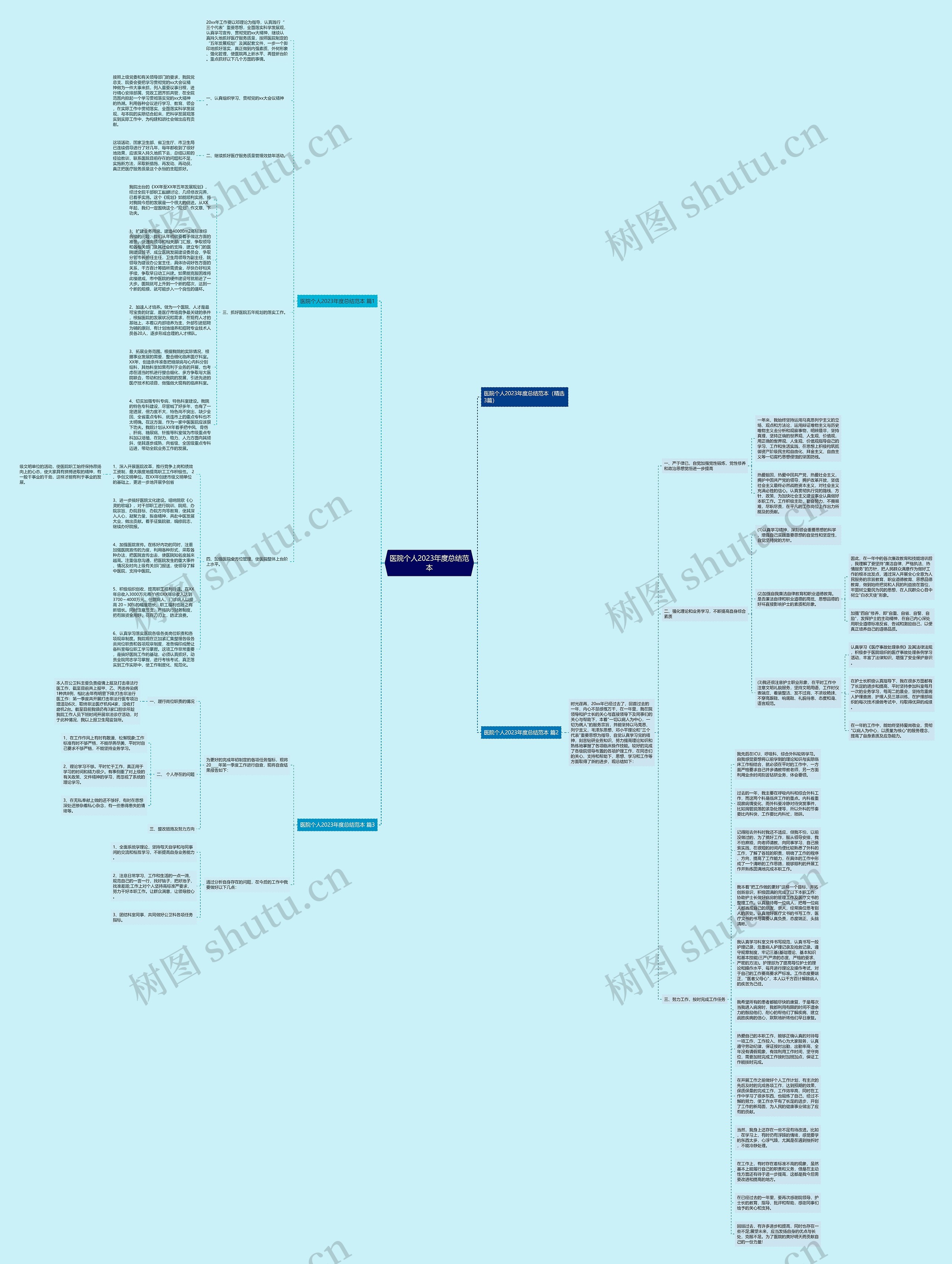 医院个人2023年度总结范本思维导图