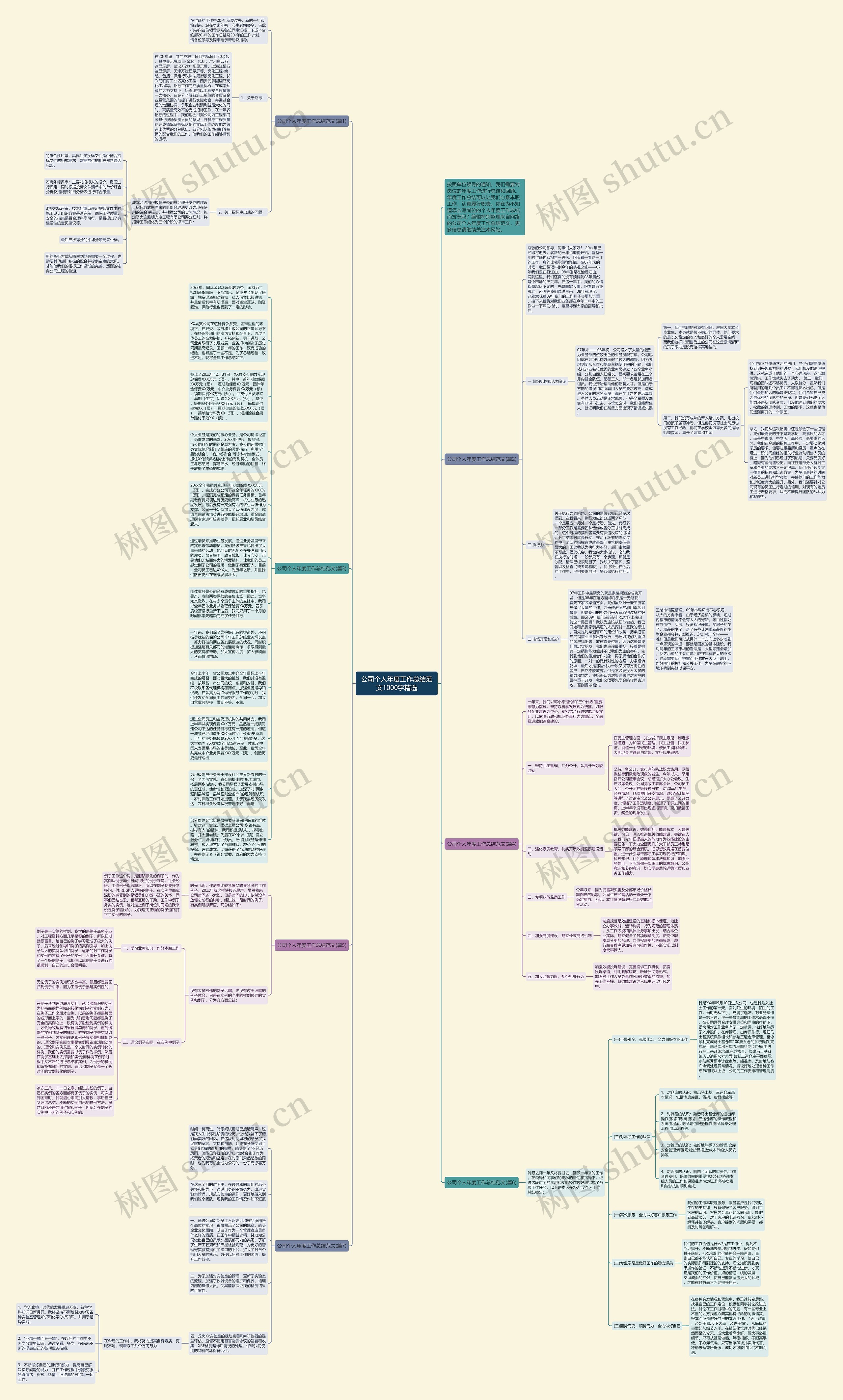 公司个人年度工作总结范文1000字精选思维导图