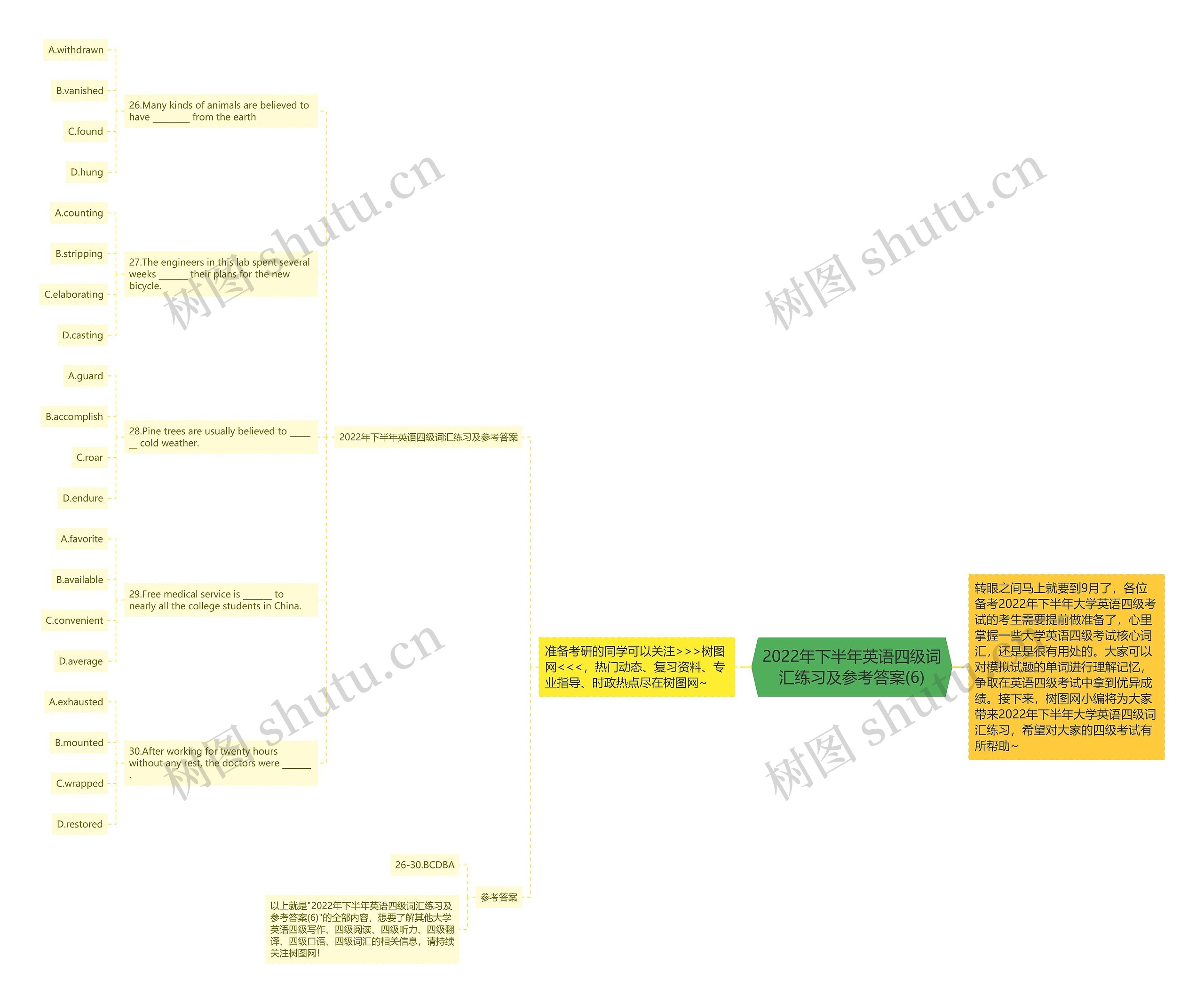 2022年下半年英语四级词汇练习及参考答案(6)思维导图