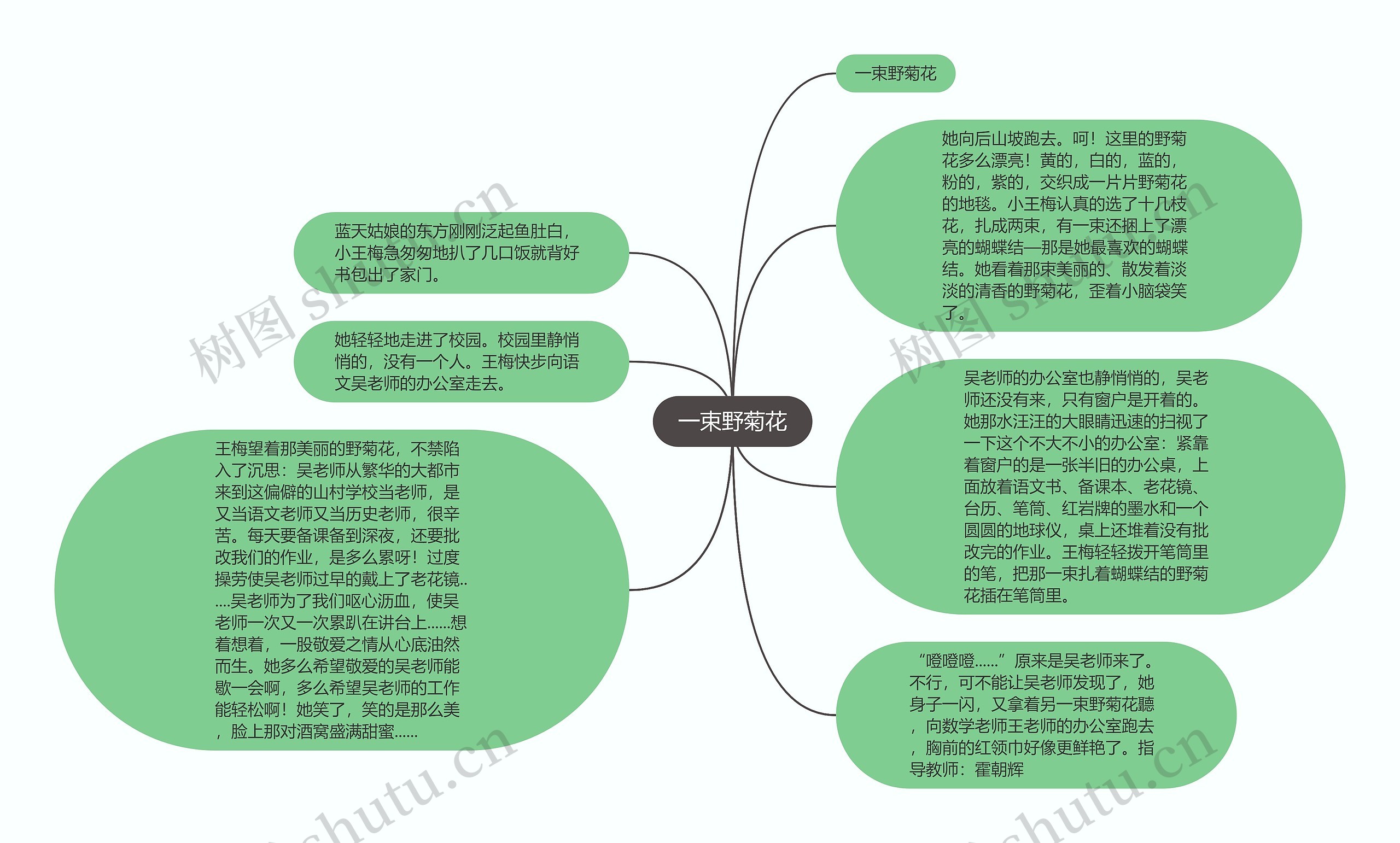 一束野菊花思维导图