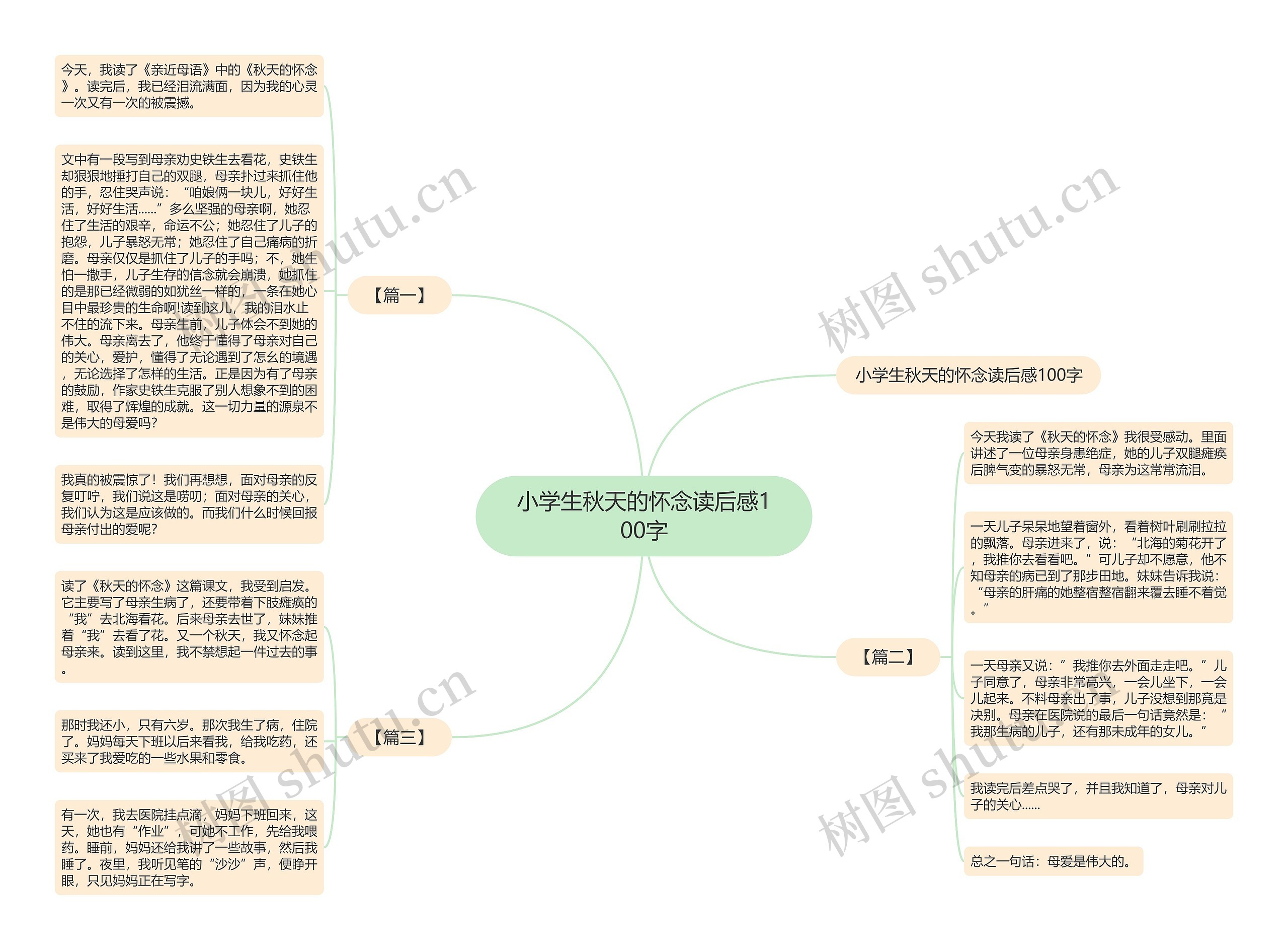 小学生秋天的怀念读后感100字思维导图