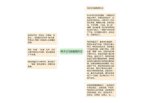 鸭子过马路看图作文