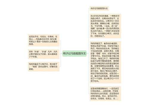 鸭子过马路看图作文