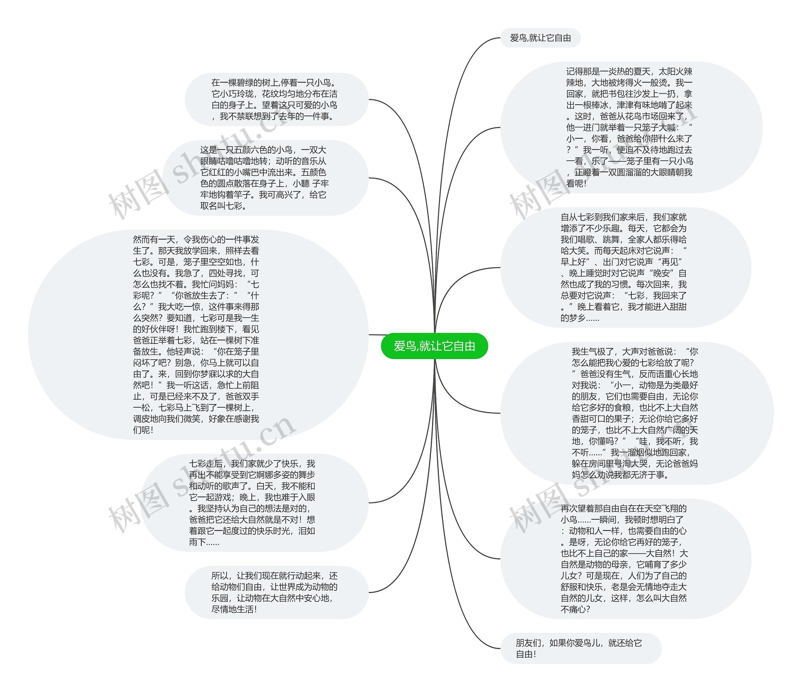 爱鸟,就让它自由思维导图
