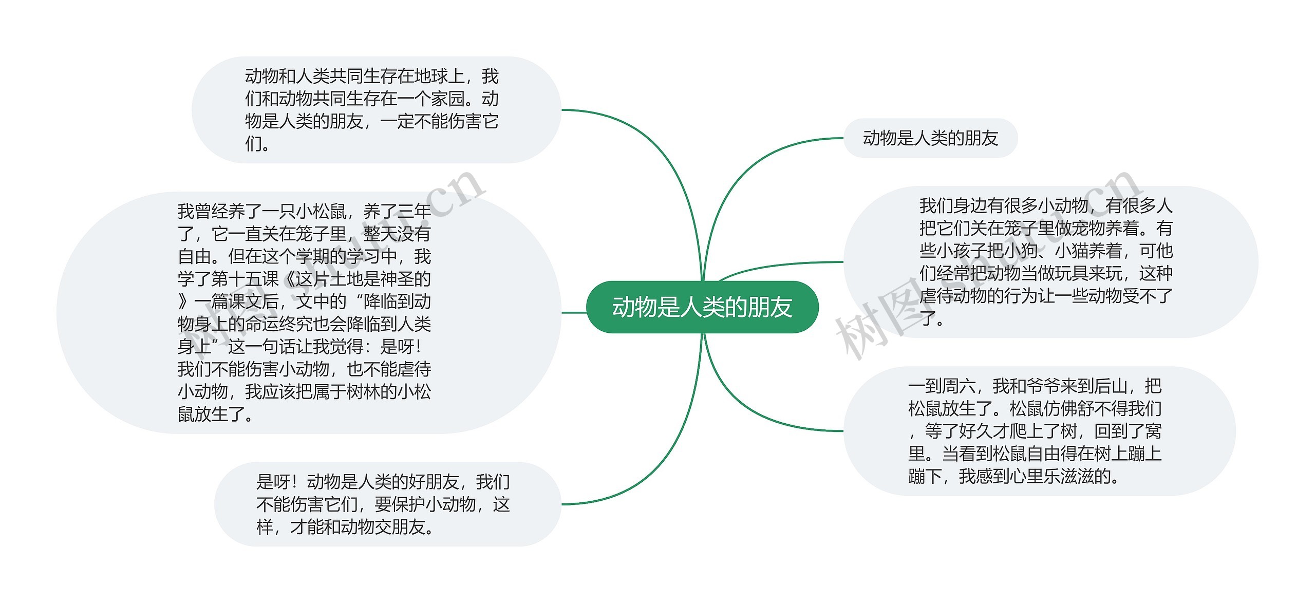 动物是人类的朋友思维导图