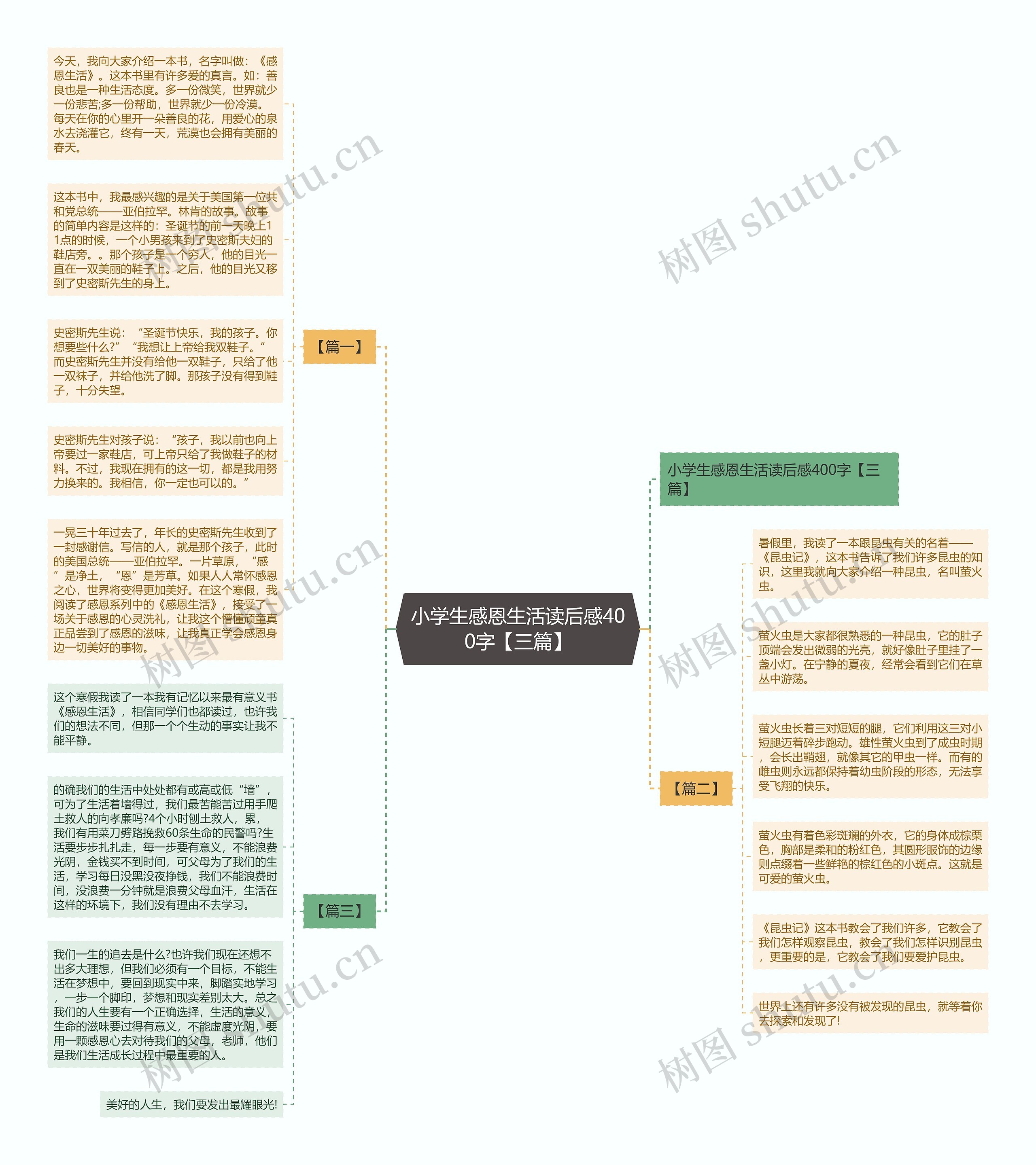 小学生感恩生活读后感400字【三篇】思维导图