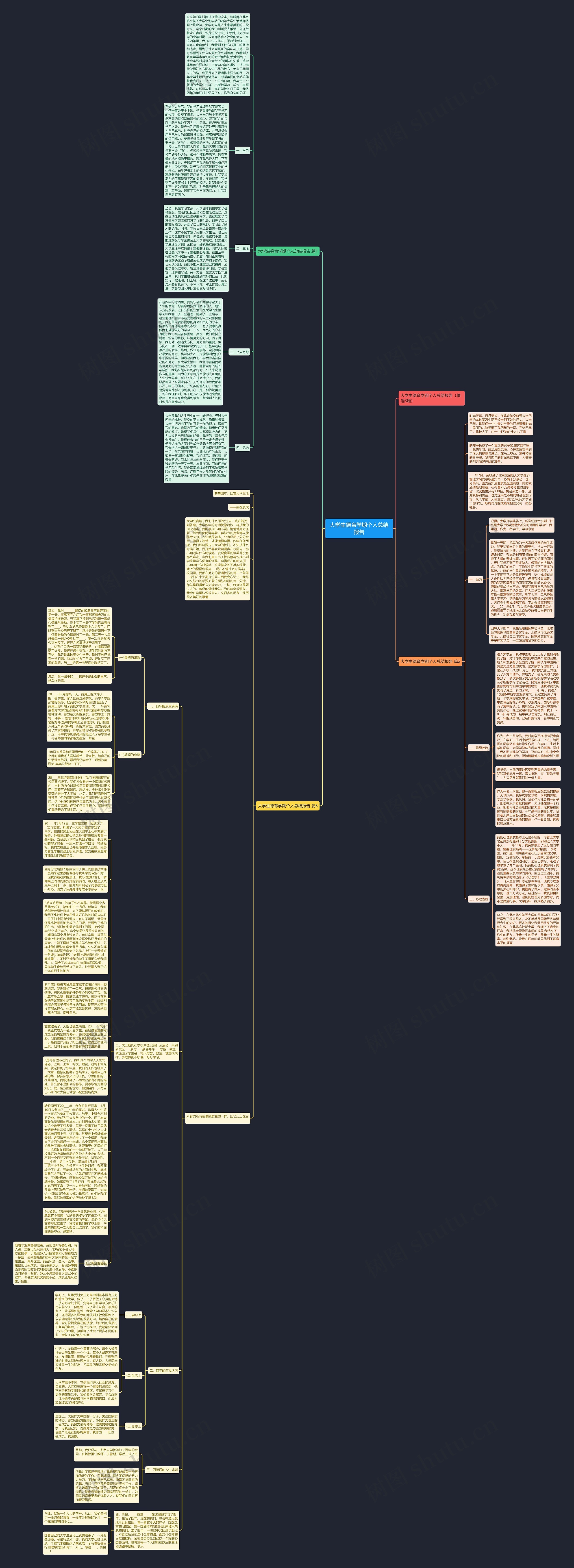 大学生德育学期个人总结报告思维导图