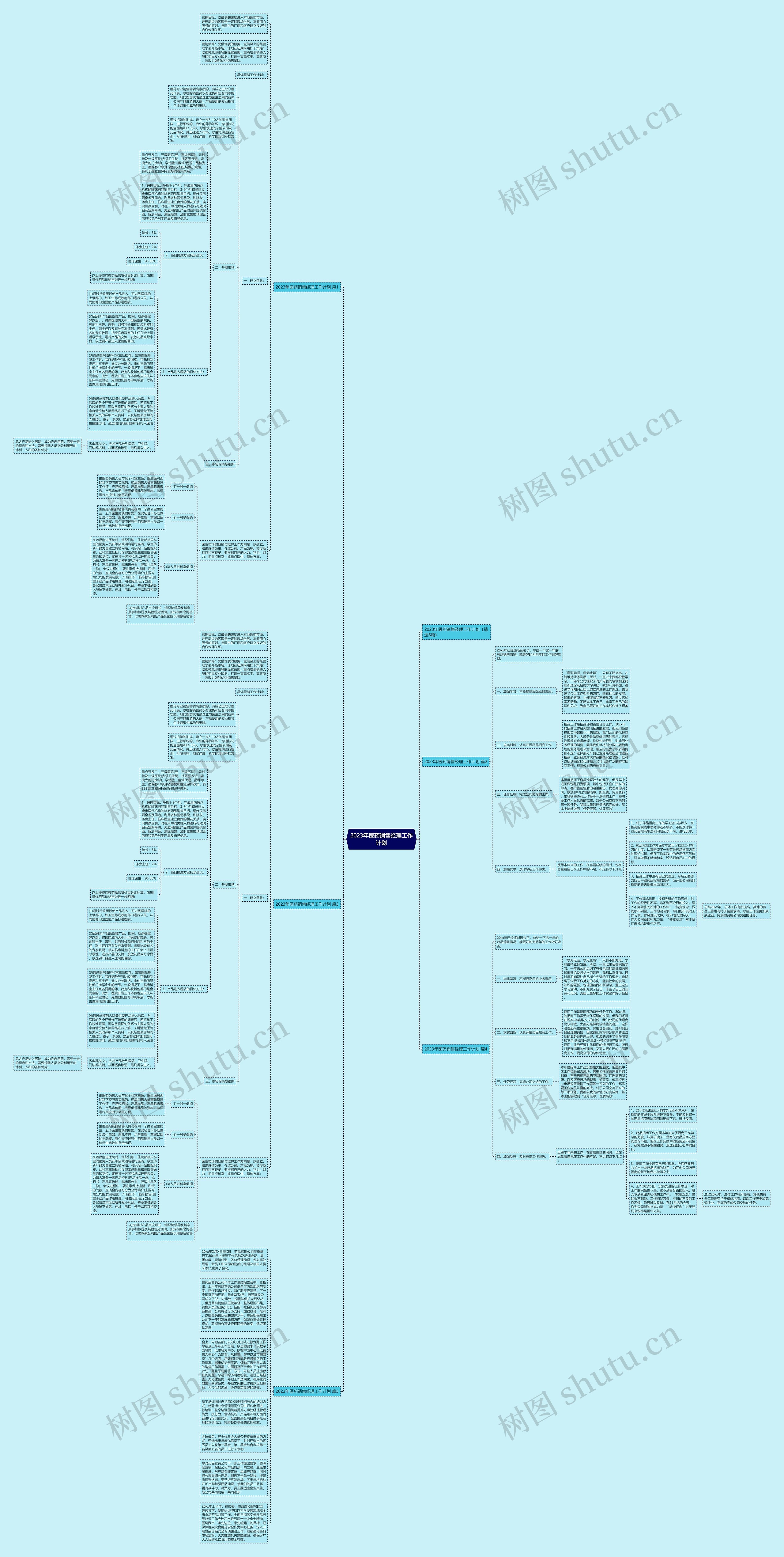 2023年医药销售经理工作计划思维导图