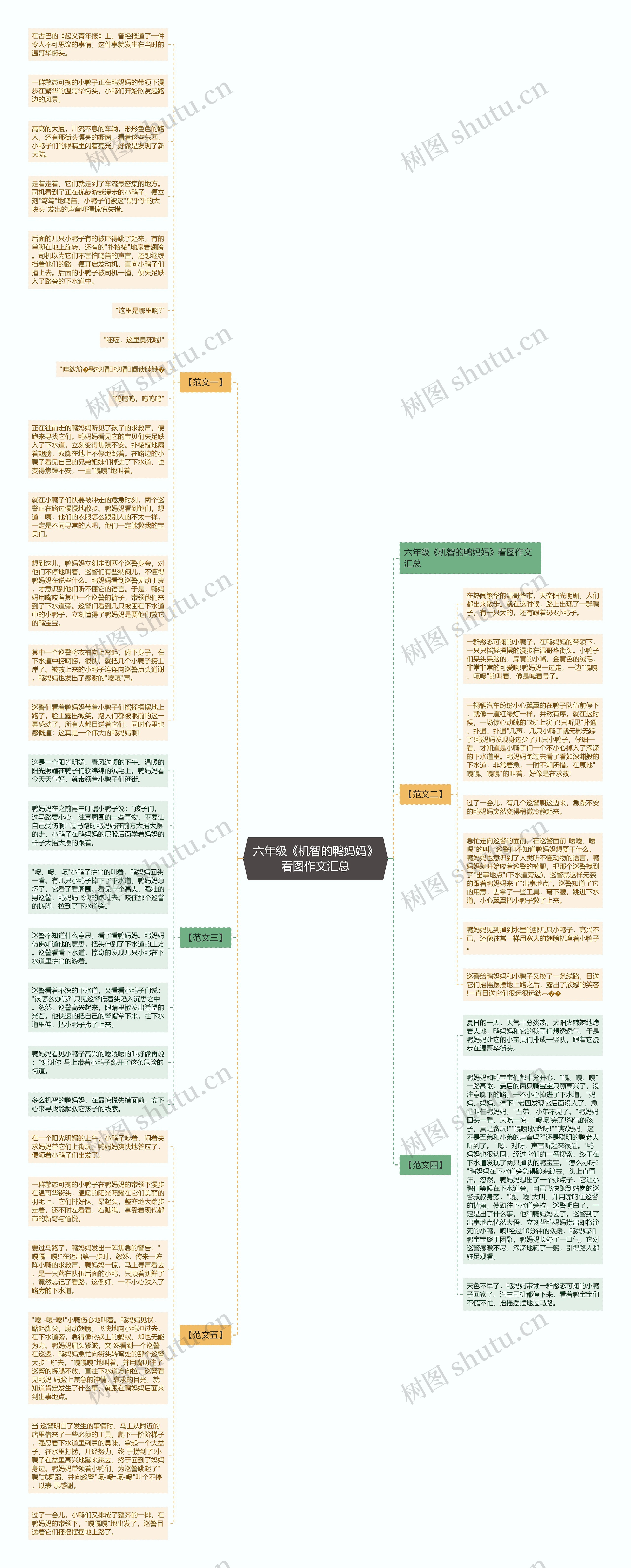 六年级《机智的鸭妈妈》看图作文汇总