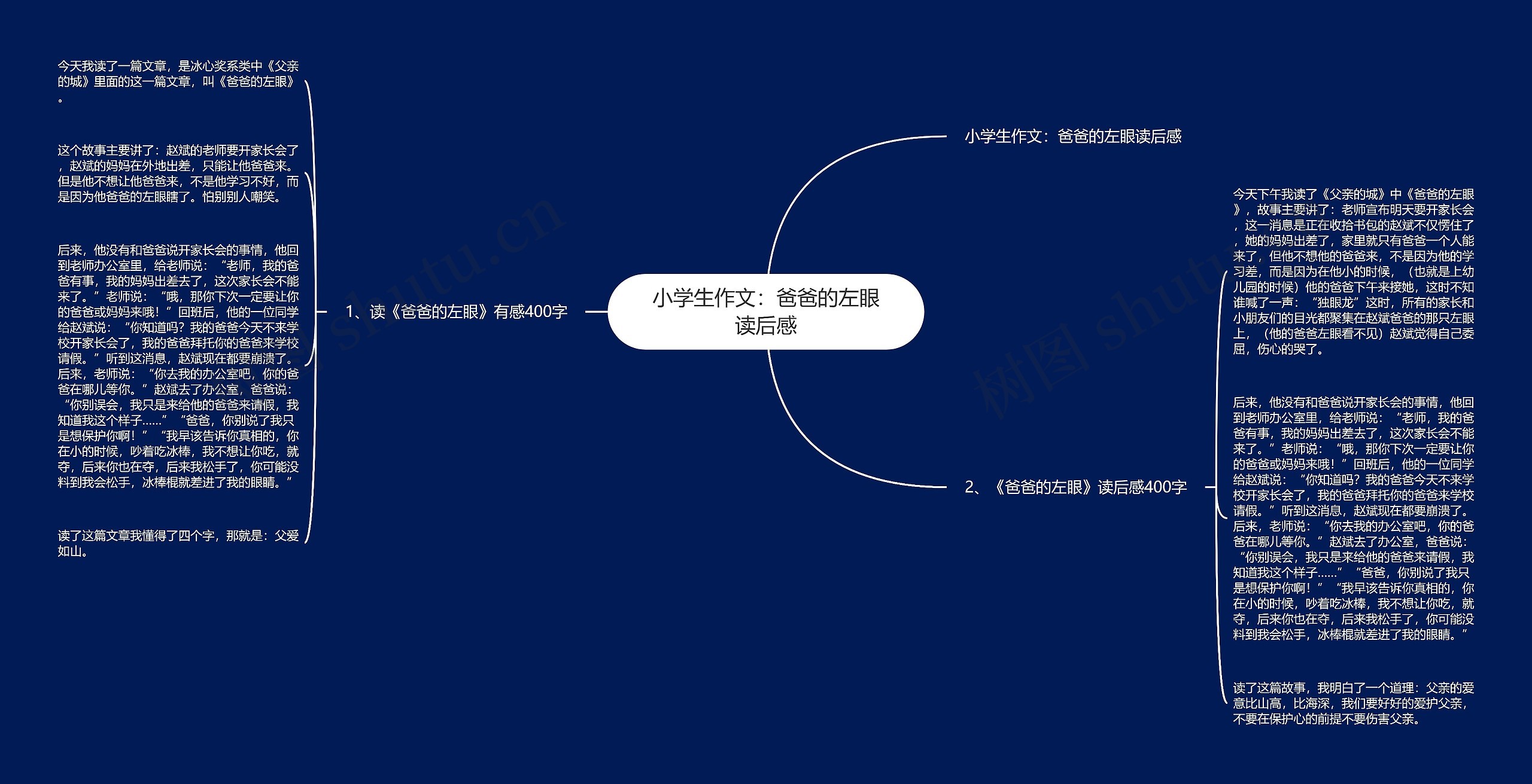 小学生作文：爸爸的左眼读后感思维导图