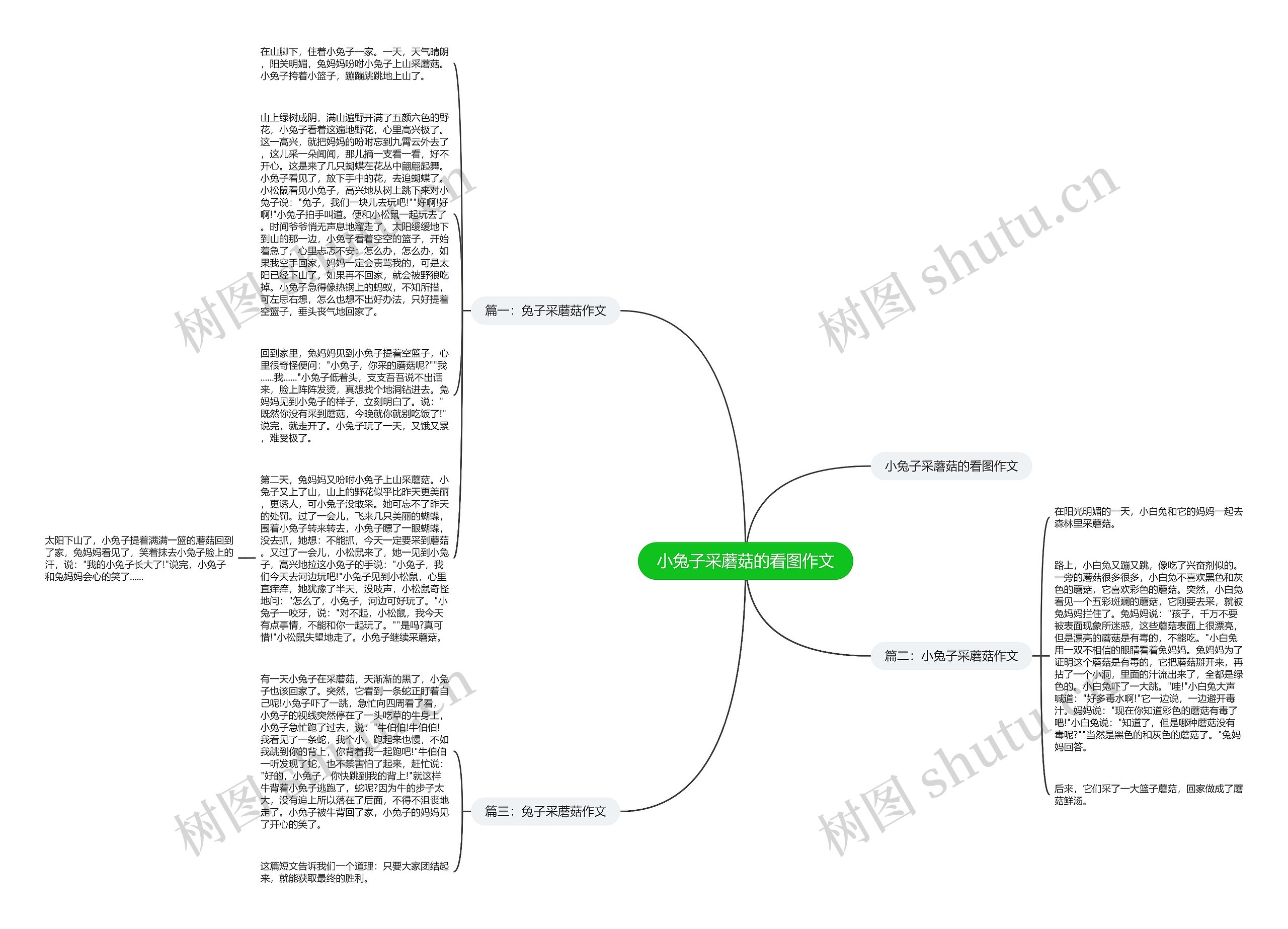 小兔子采蘑菇的看图作文思维导图