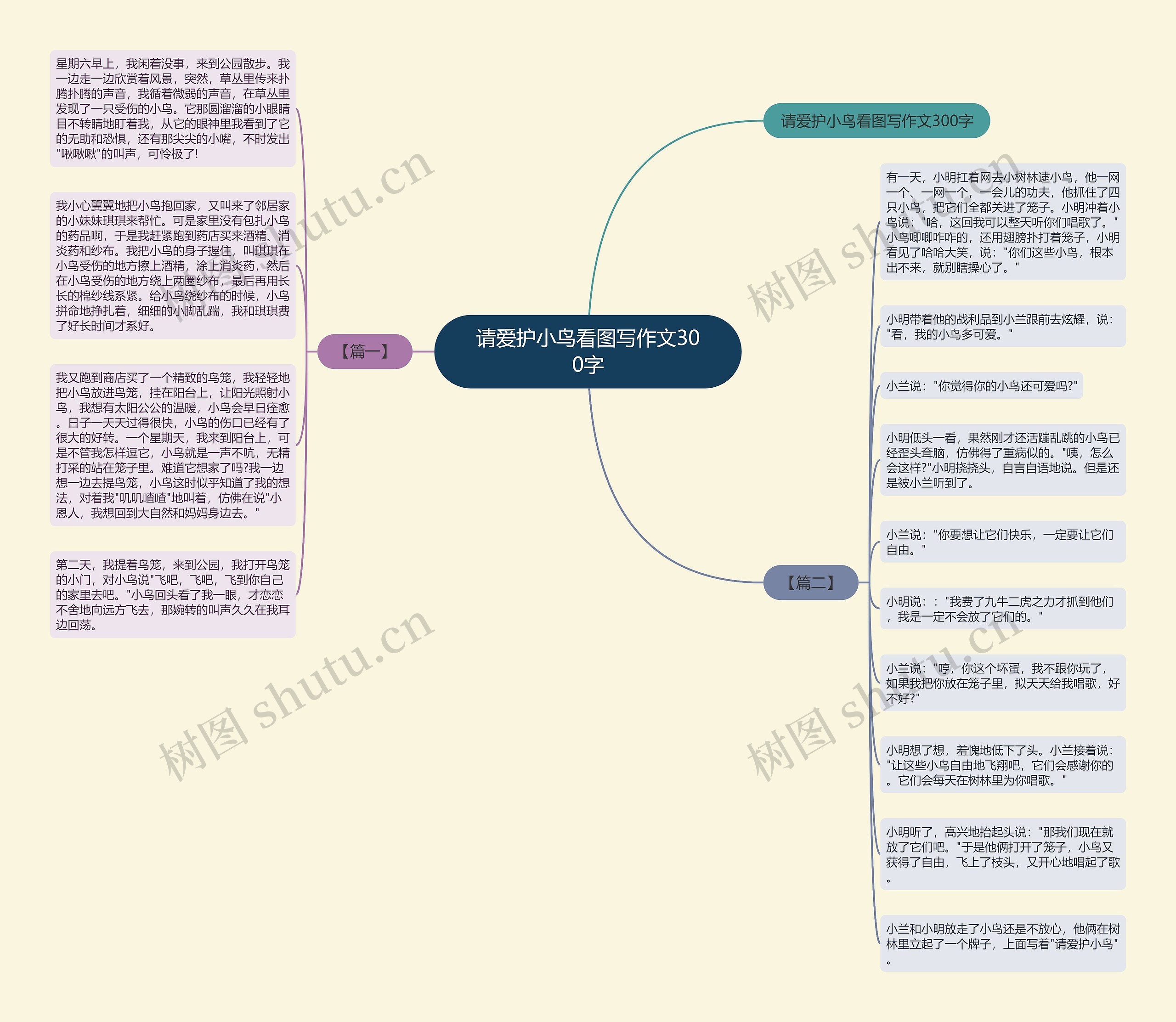 请爱护小鸟看图写作文300字思维导图