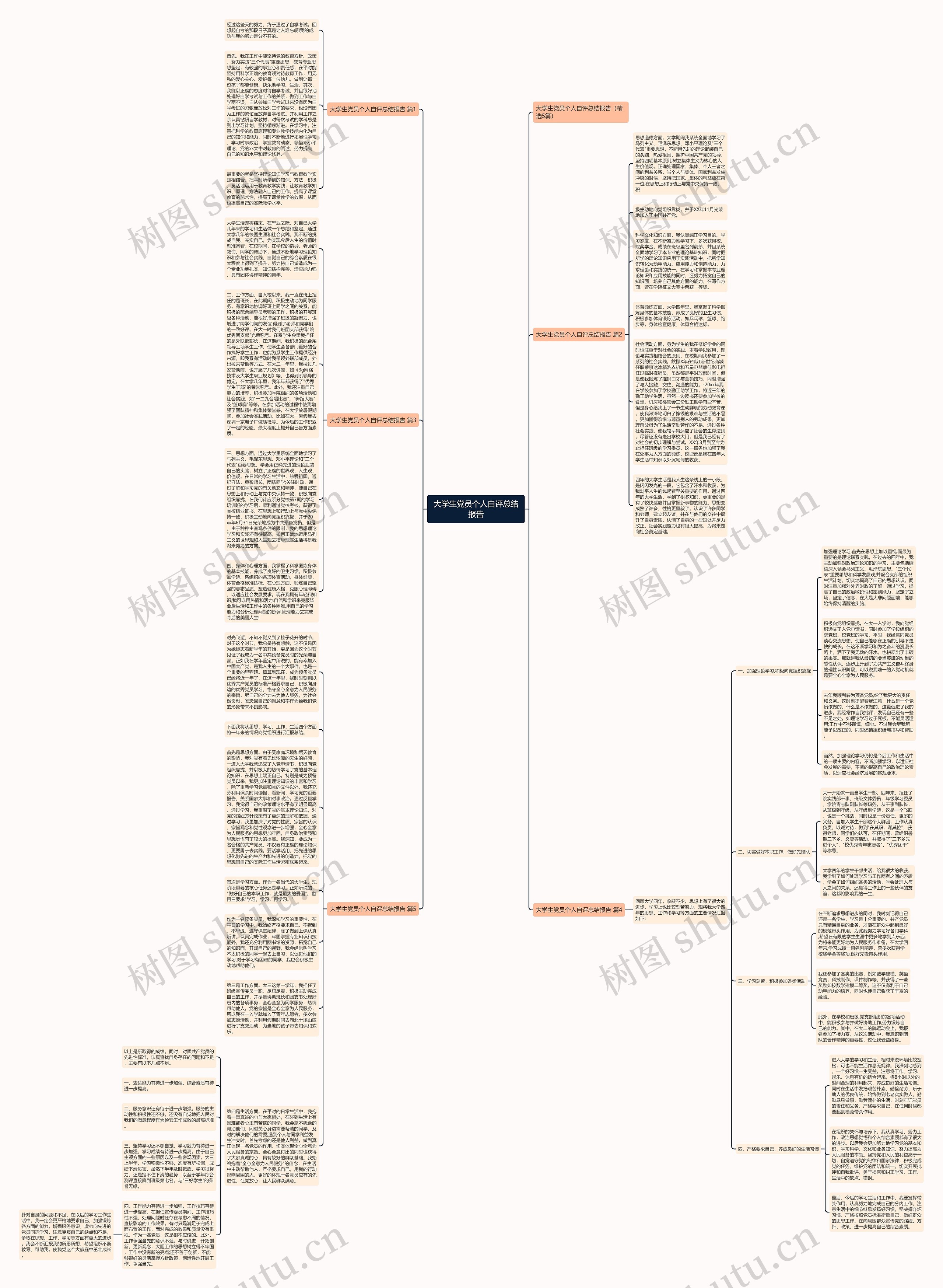 大学生党员个人自评总结报告思维导图