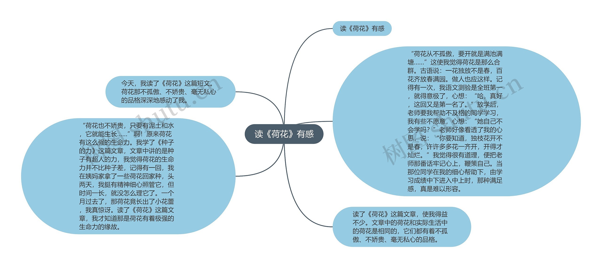 读《荷花》有感思维导图