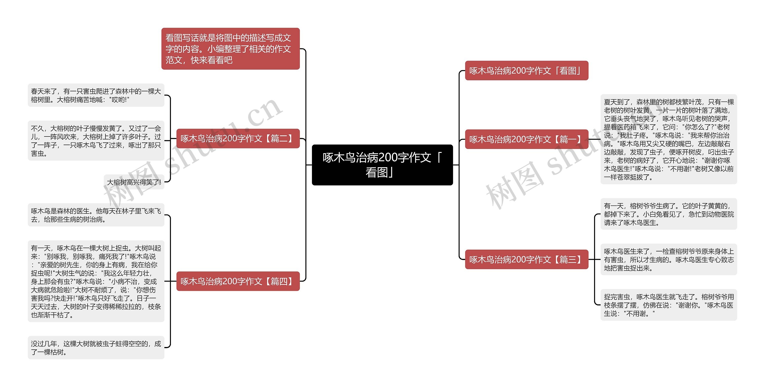 啄木鸟治病200字作文「看图」