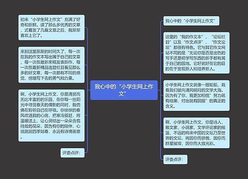 我心中的“小学生网上作文”