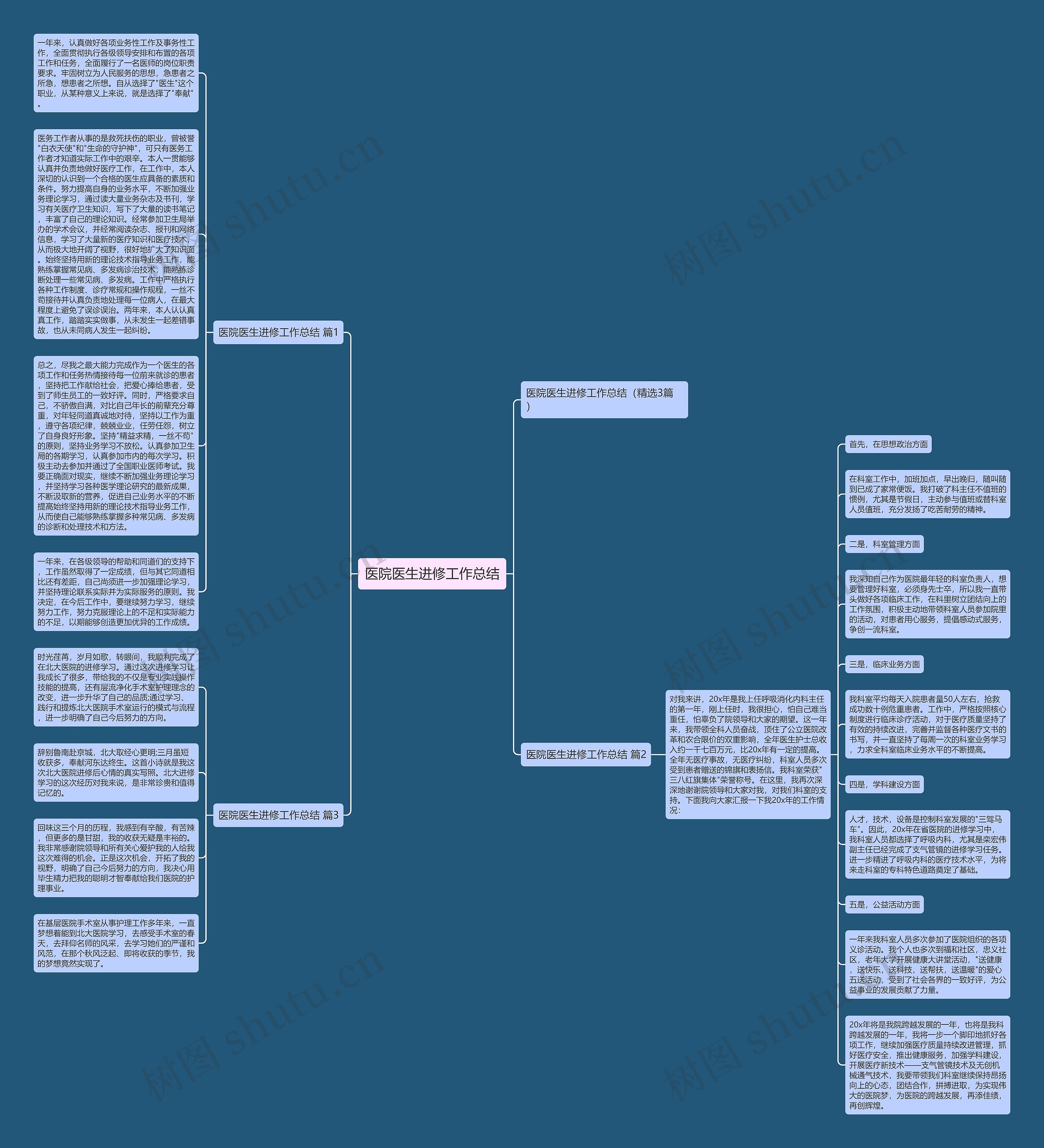 医院医生进修工作总结思维导图