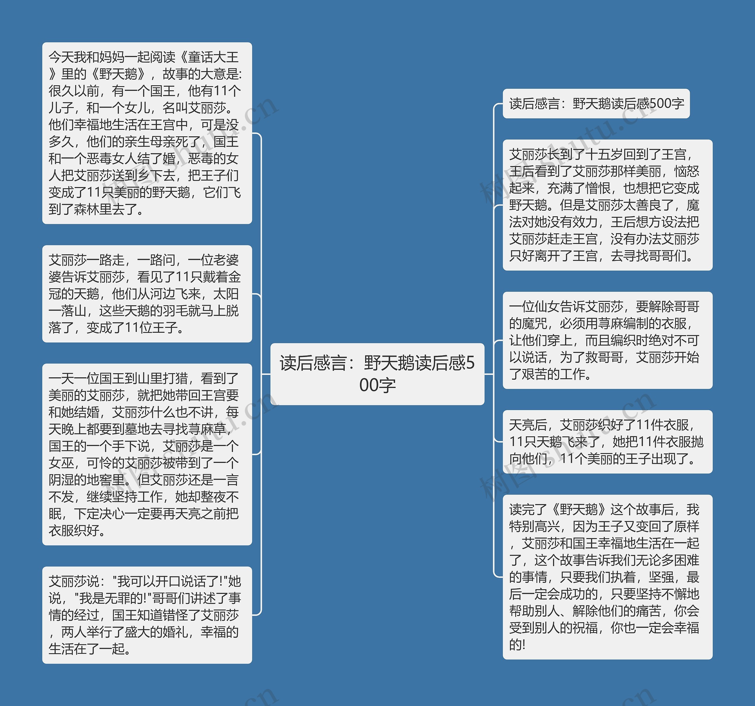 读后感言：野天鹅读后感500字思维导图