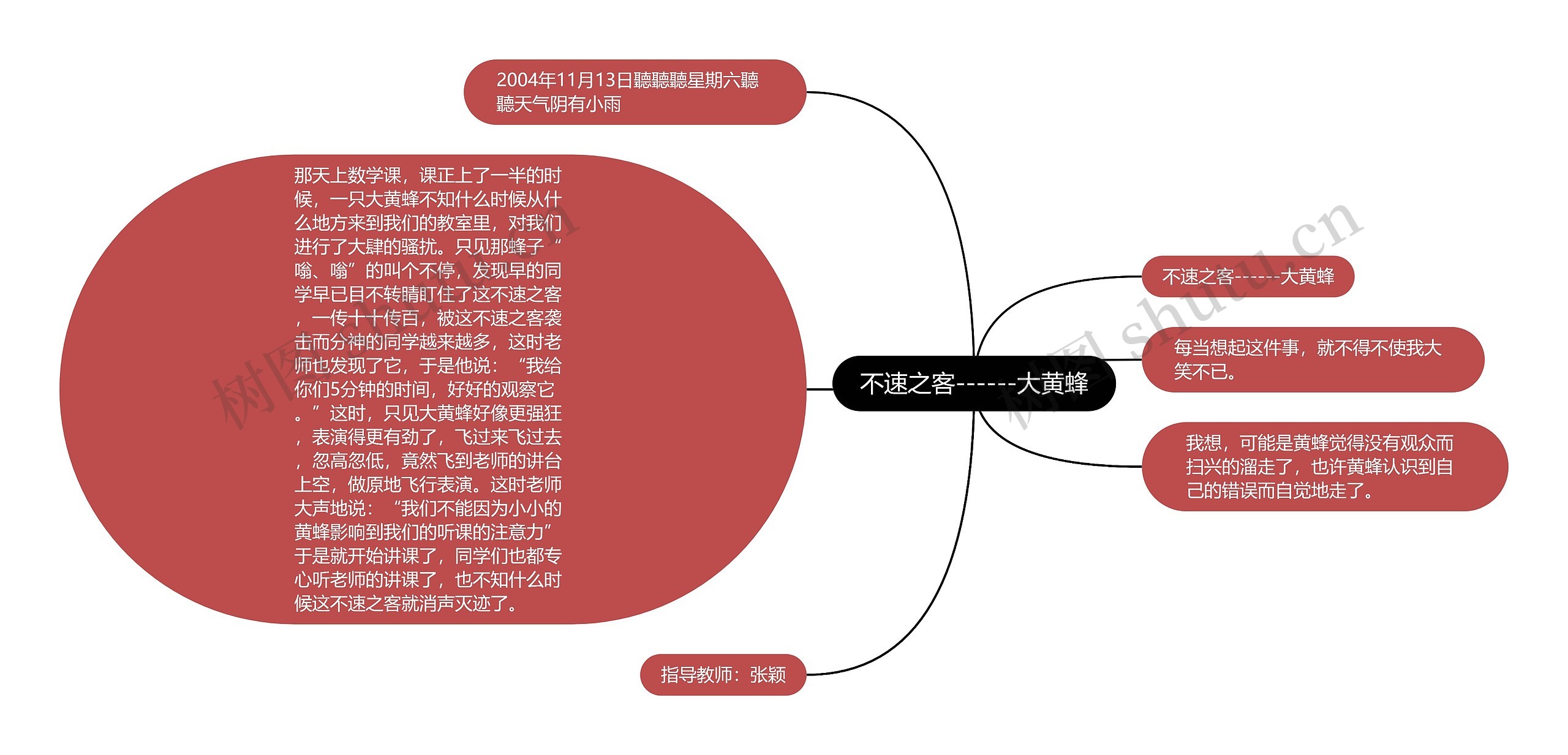 不速之客------大黄蜂思维导图