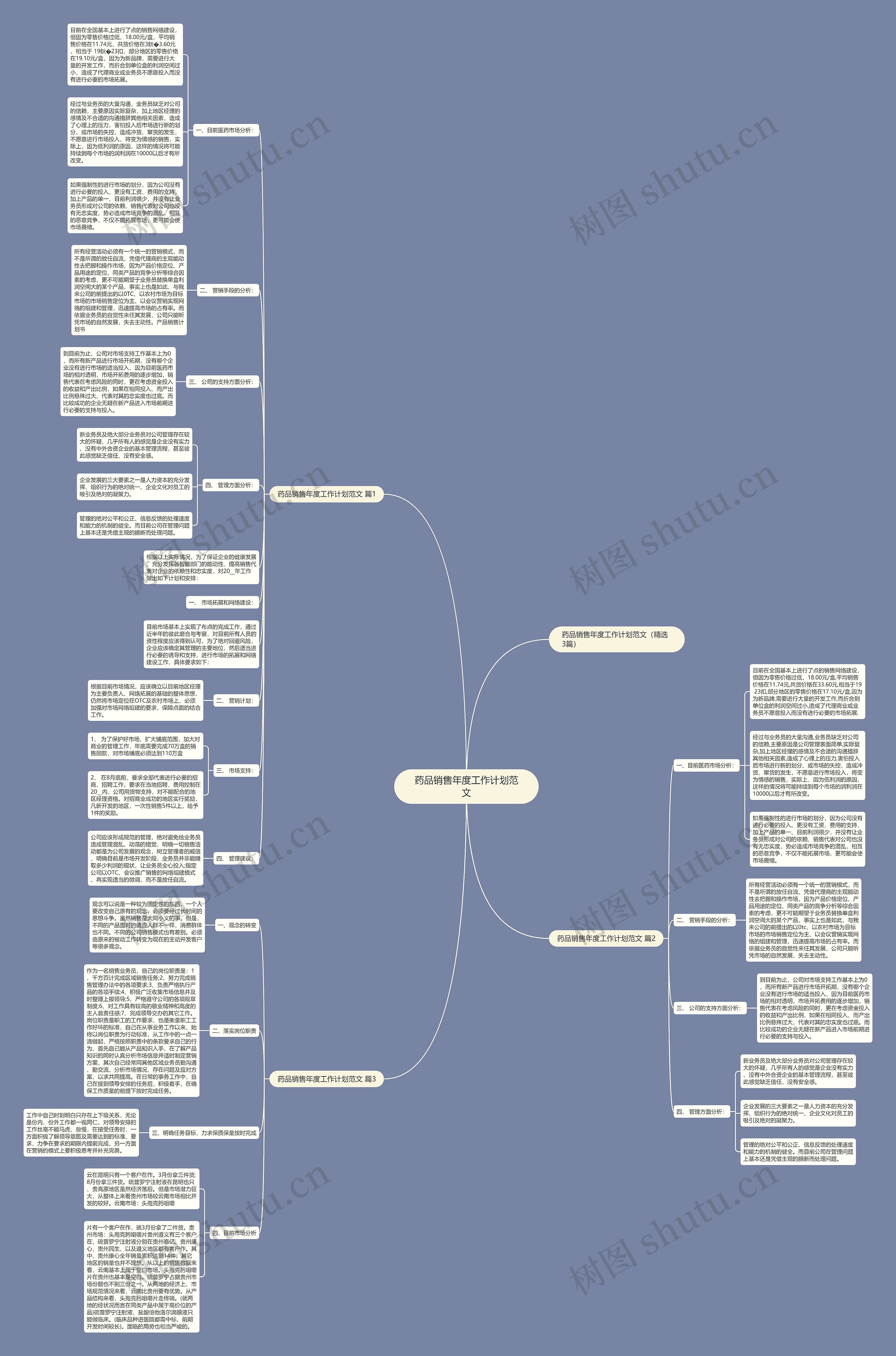 药品销售年度工作计划范文思维导图