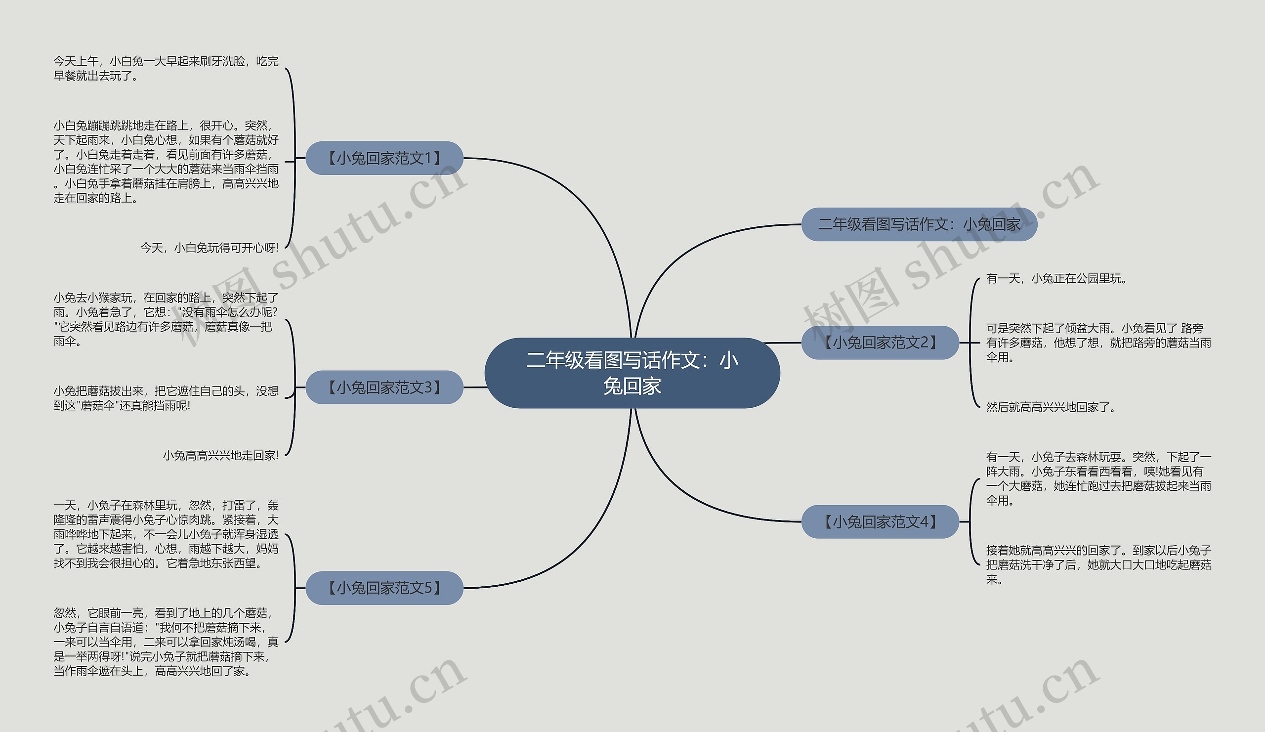 二年级看图写话作文：小兔回家