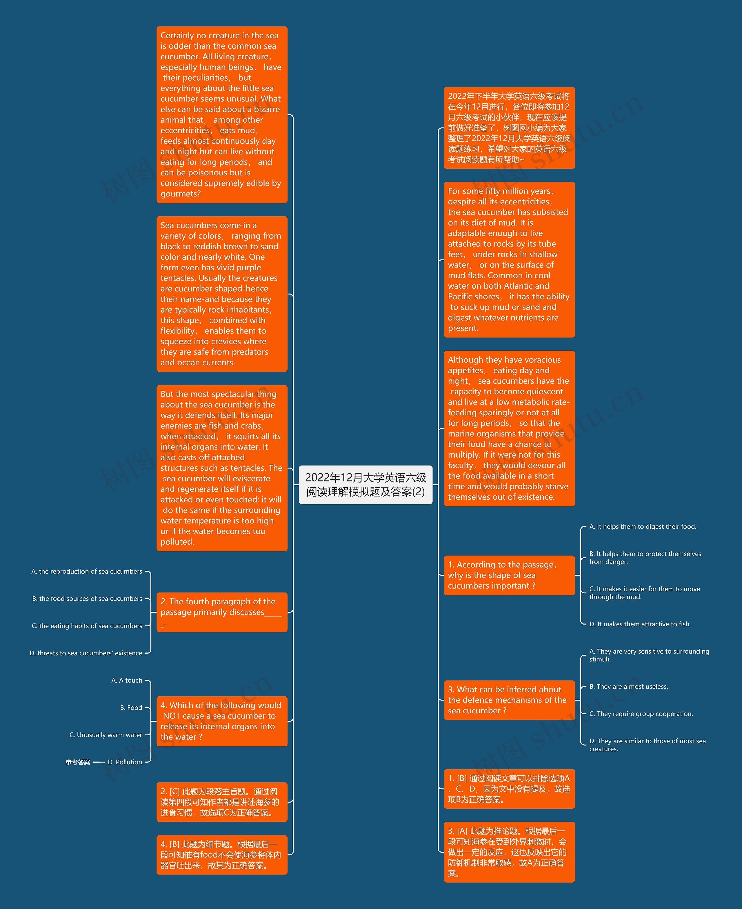 2022年12月大学英语六级阅读理解模拟题及答案(2)思维导图