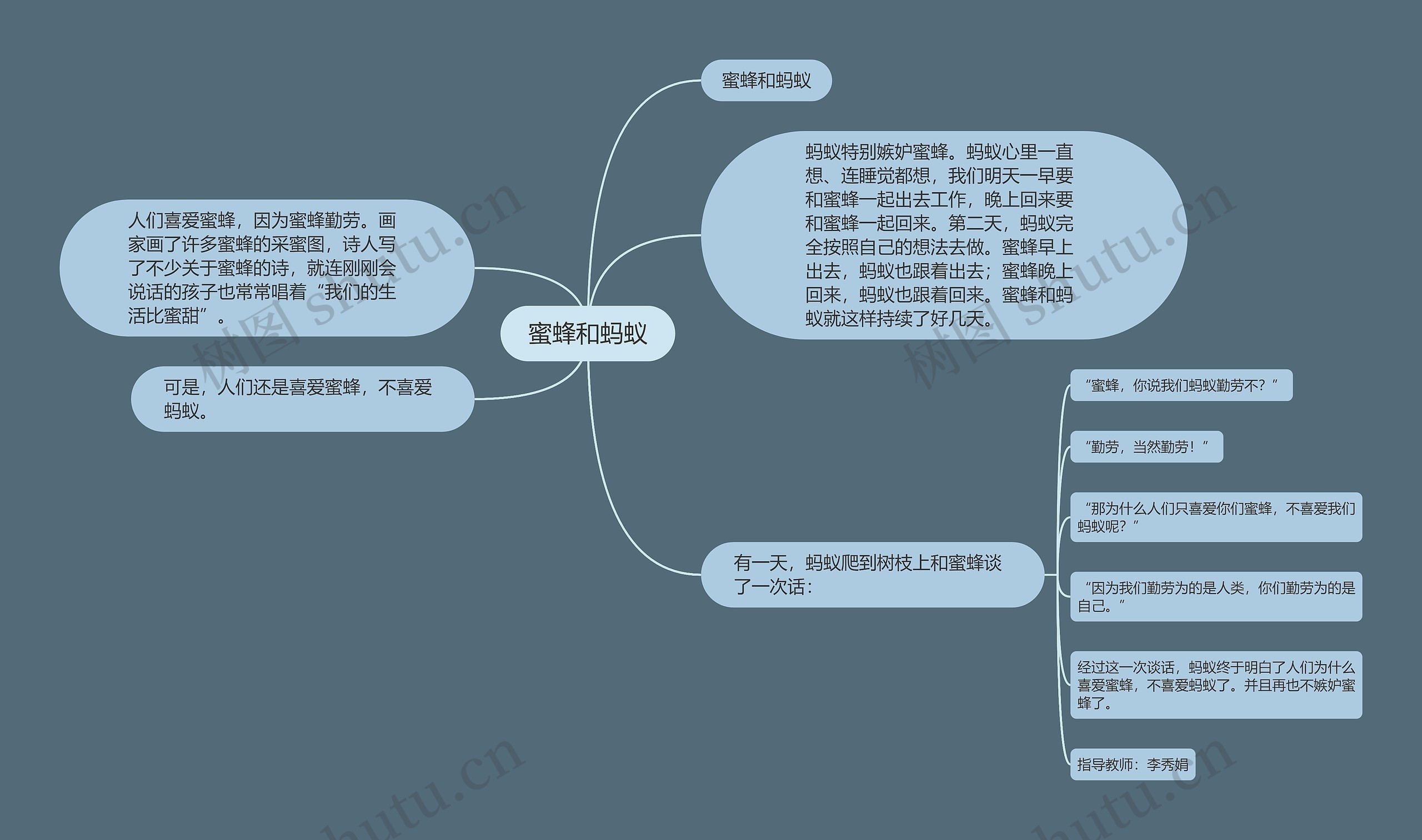 蜜蜂和蚂蚁思维导图