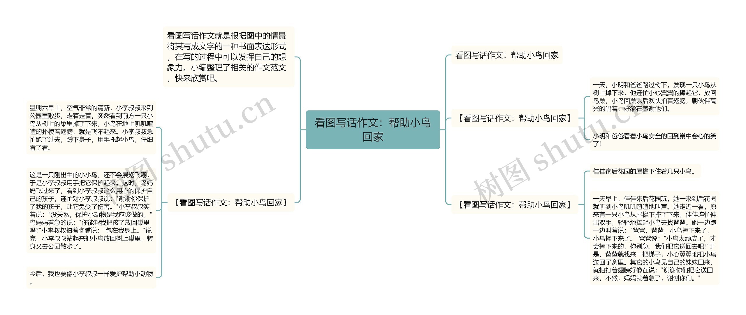 看图写话作文：帮助小鸟回家思维导图