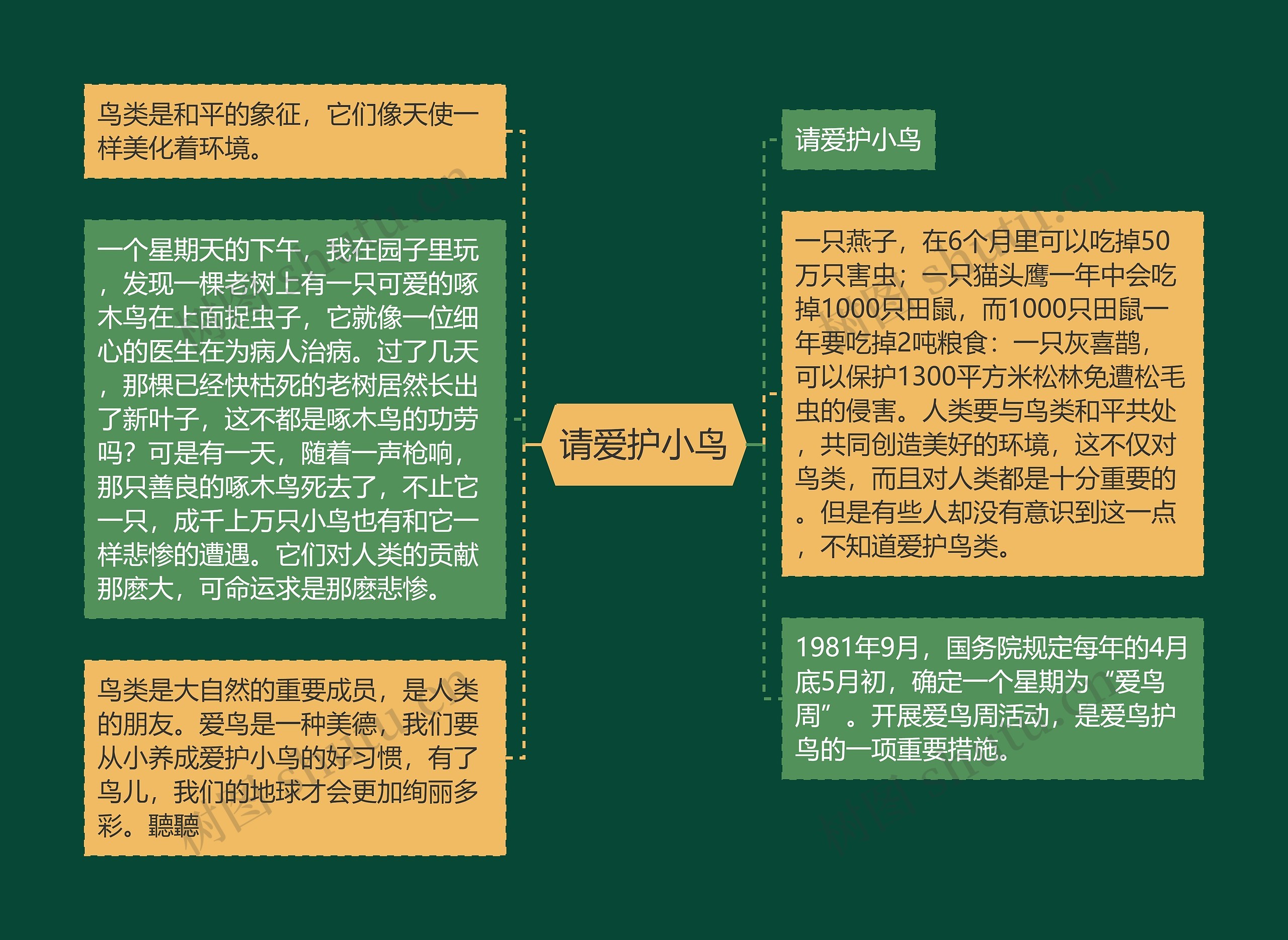 请爱护小鸟思维导图