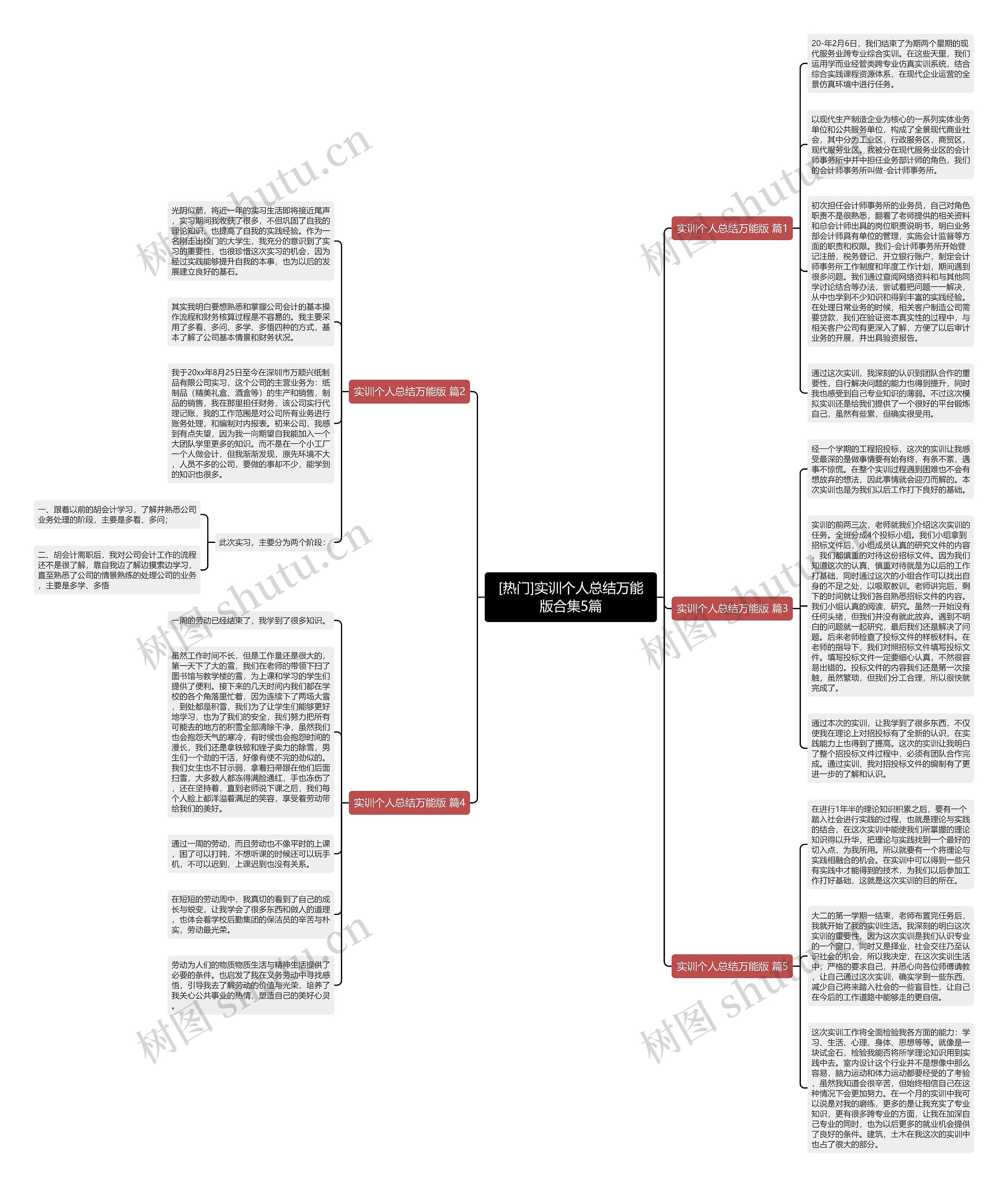 [热门]实训个人总结万能版合集5篇思维导图