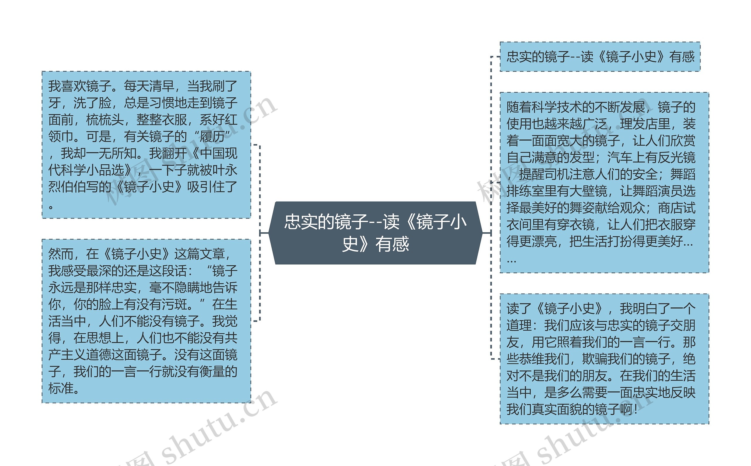 忠实的镜子--读《镜子小史》有感