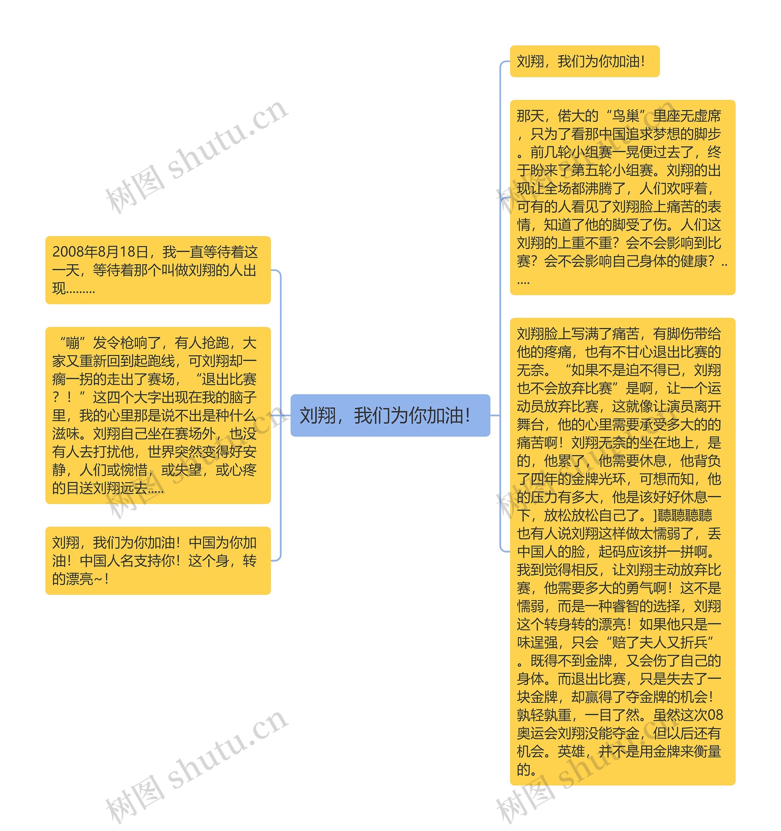 刘翔，我们为你加油！