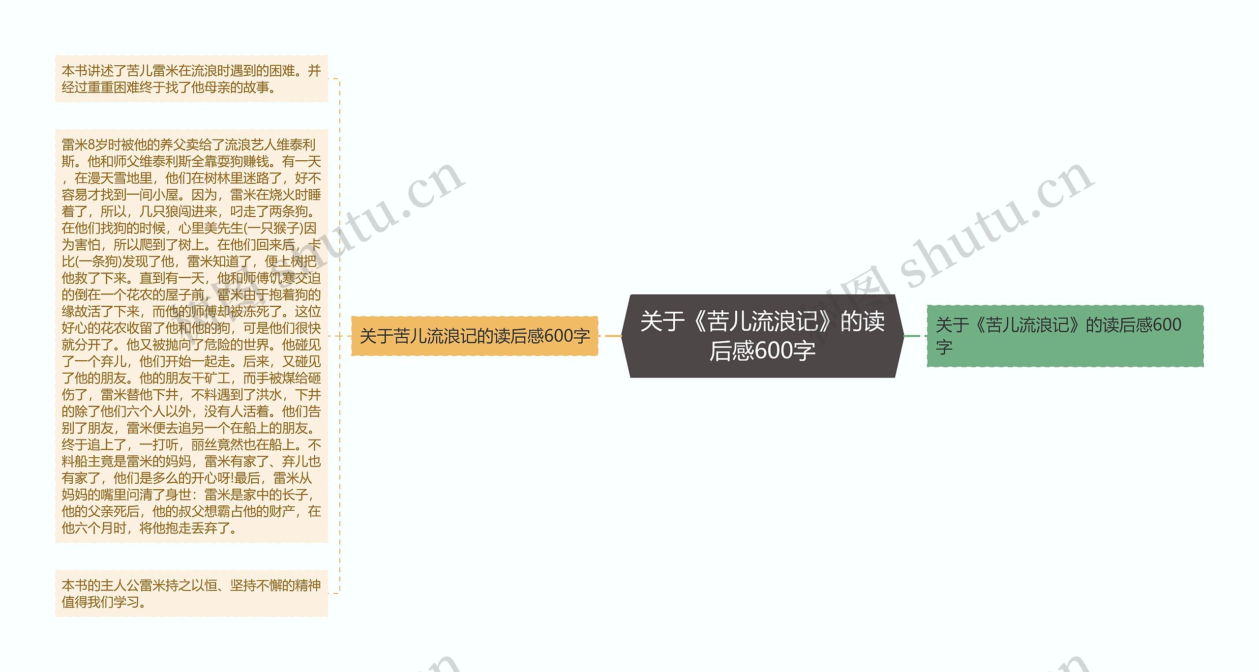 关于《苦儿流浪记》的读后感600字思维导图