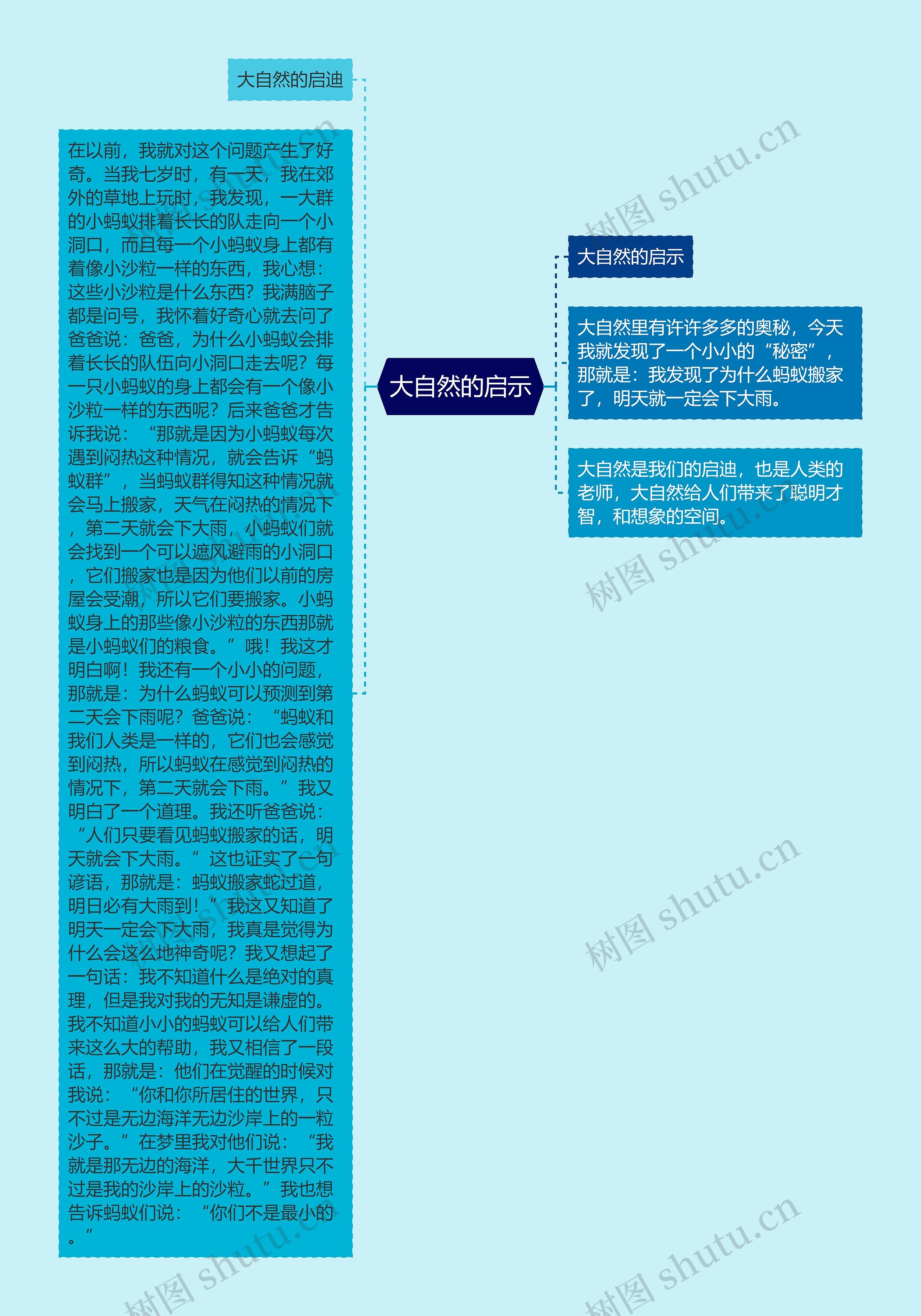 大自然的启示