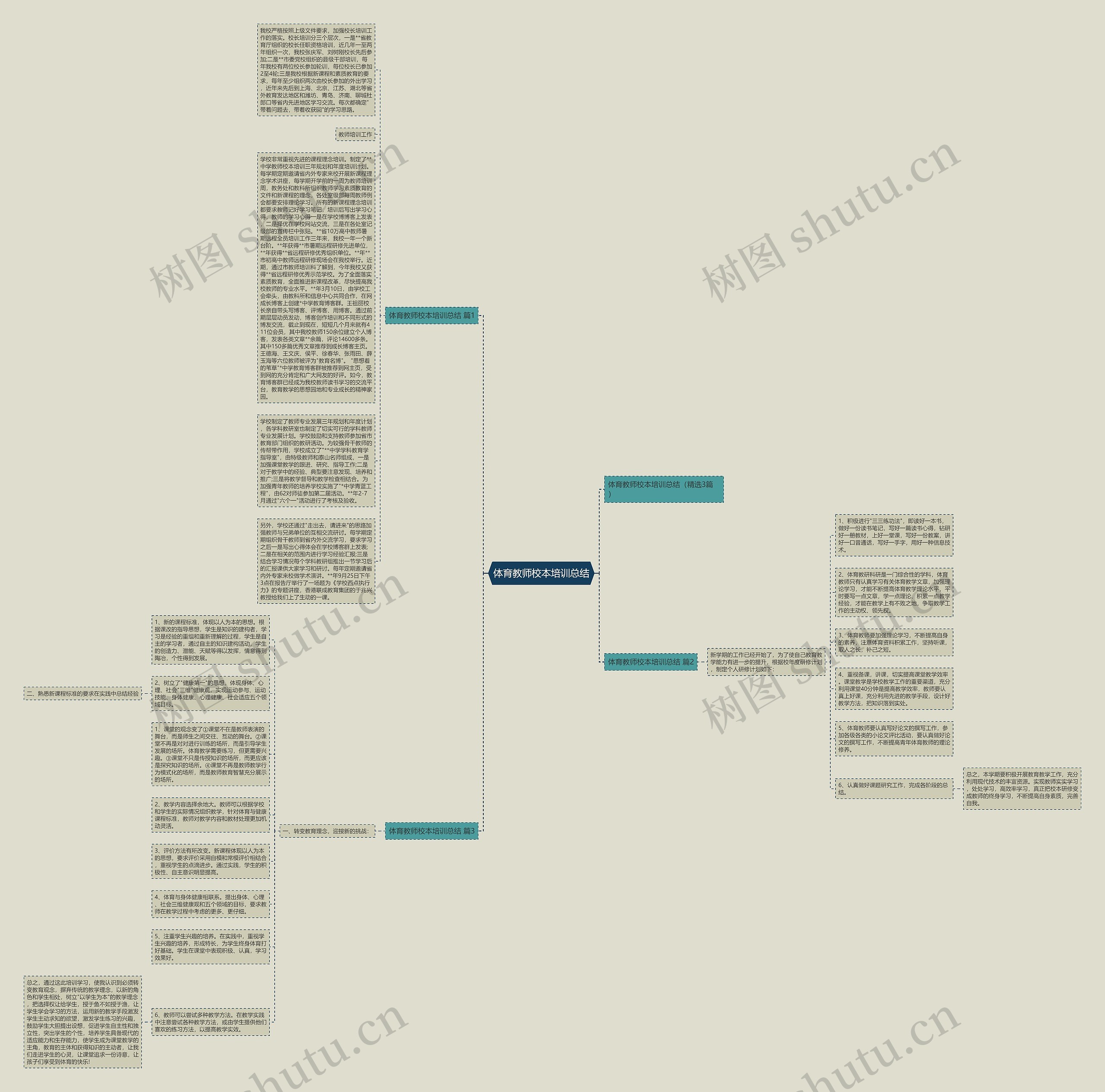 体育教师校本培训总结思维导图