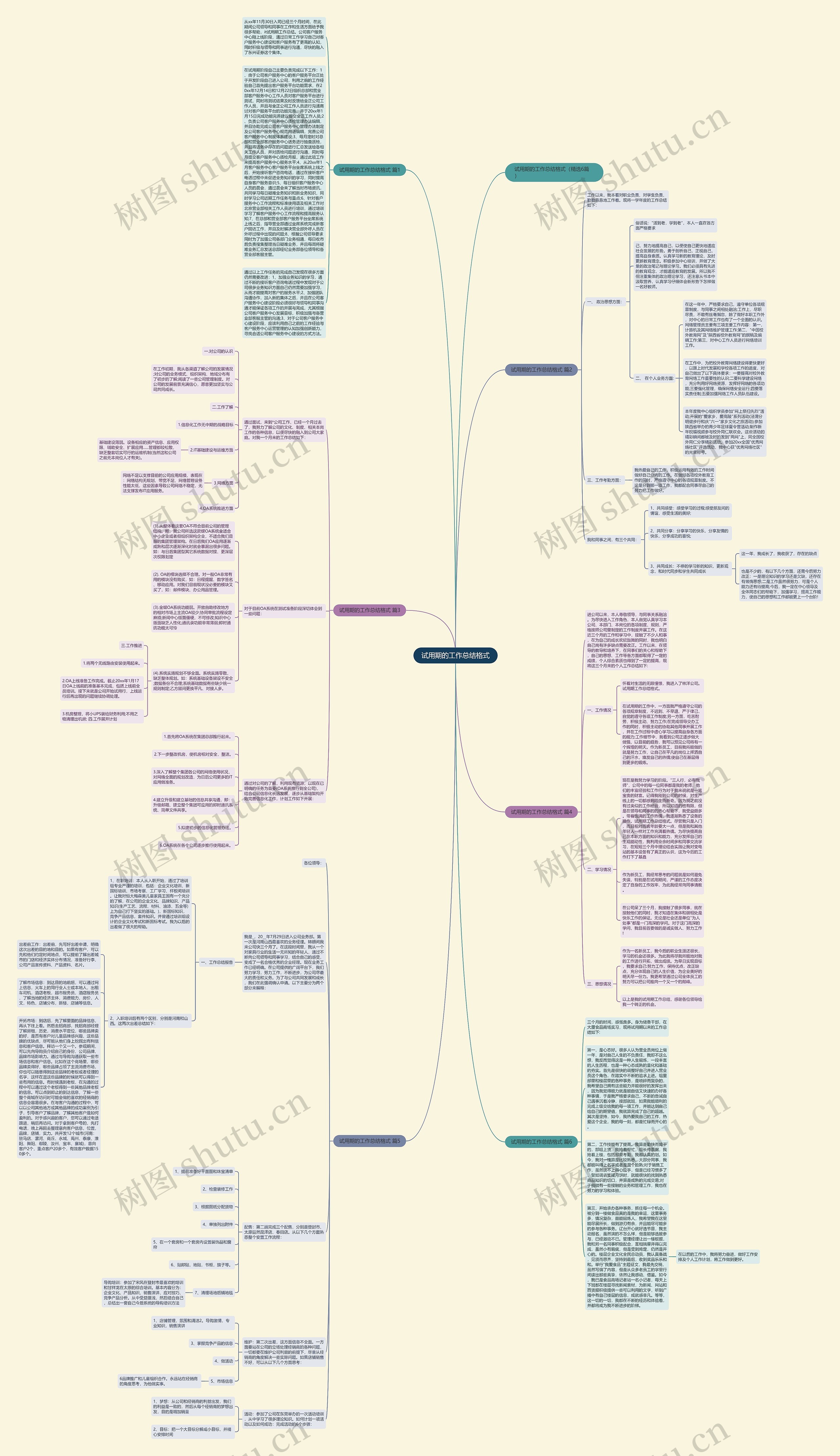 试用期的工作总结格式思维导图