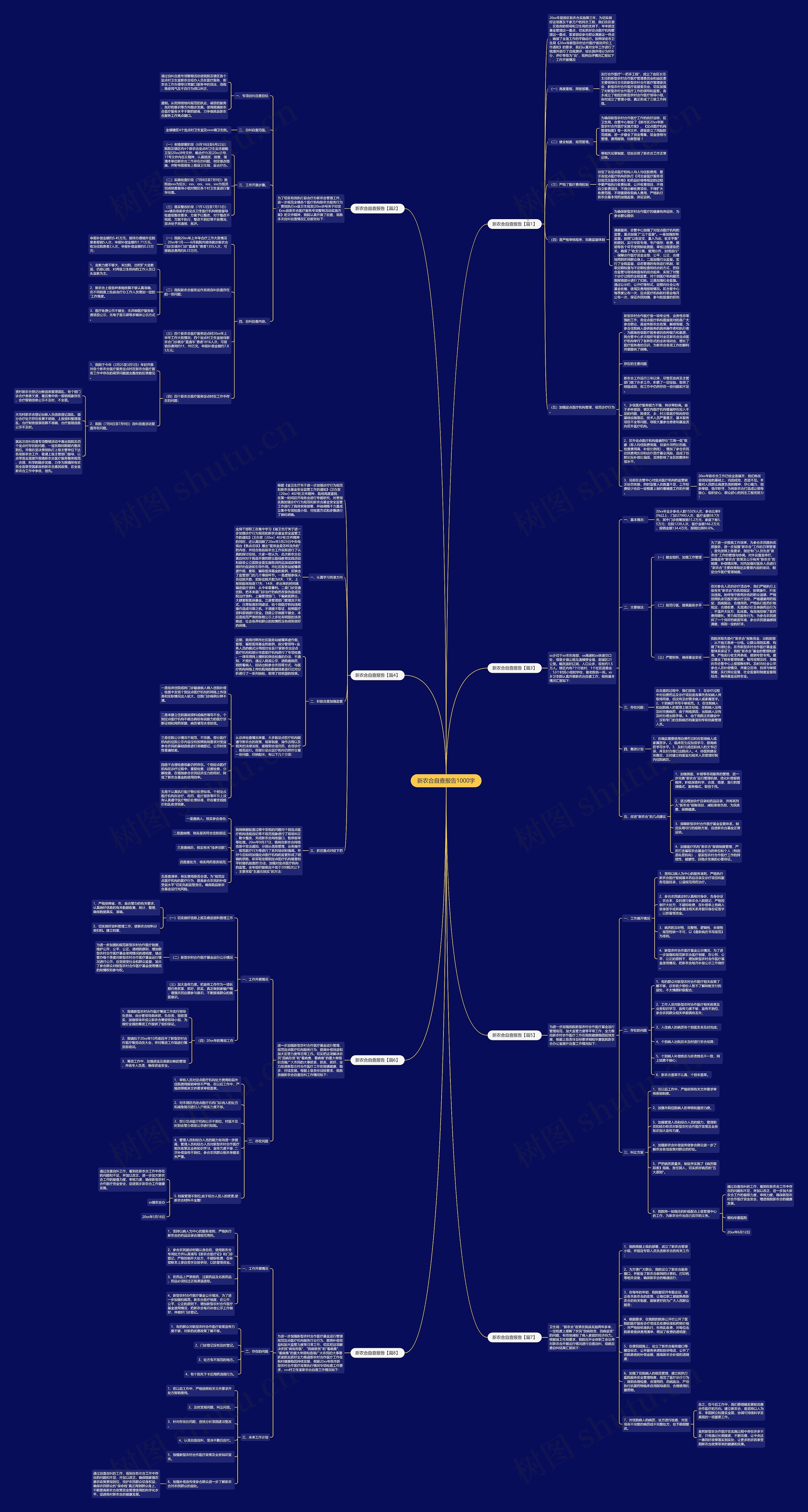 新农合自查报告1000字思维导图