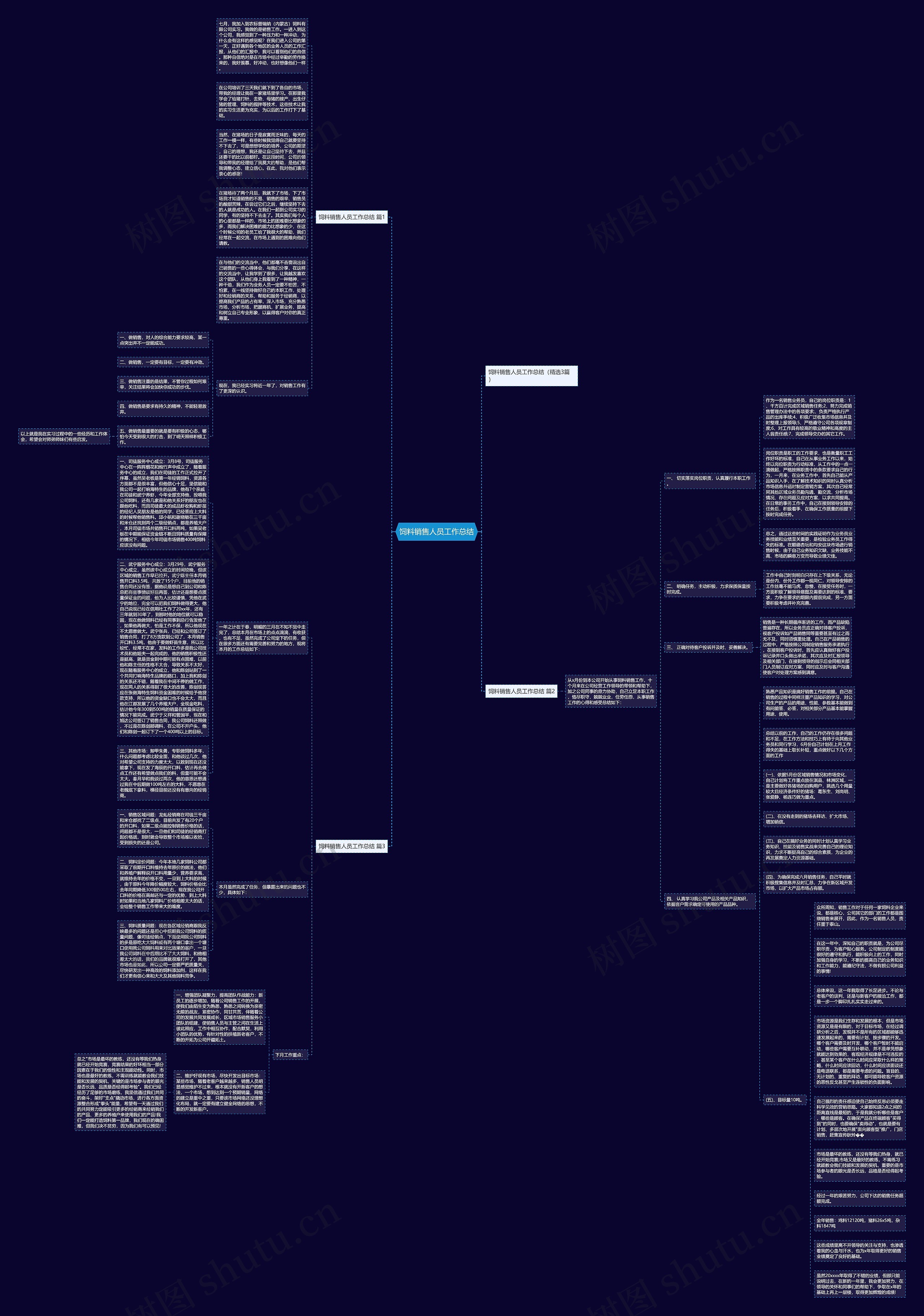 饲料销售人员工作总结思维导图