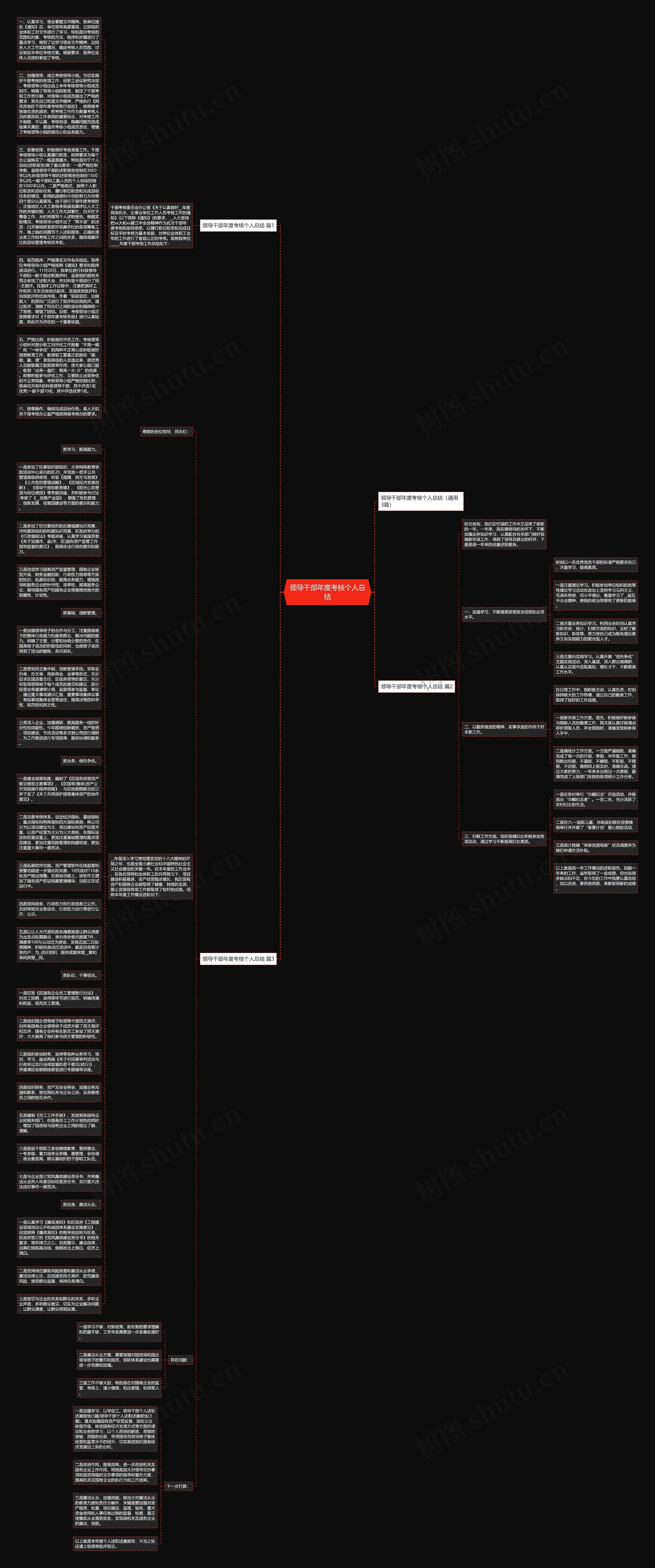 领导干部年度考核个人总结思维导图