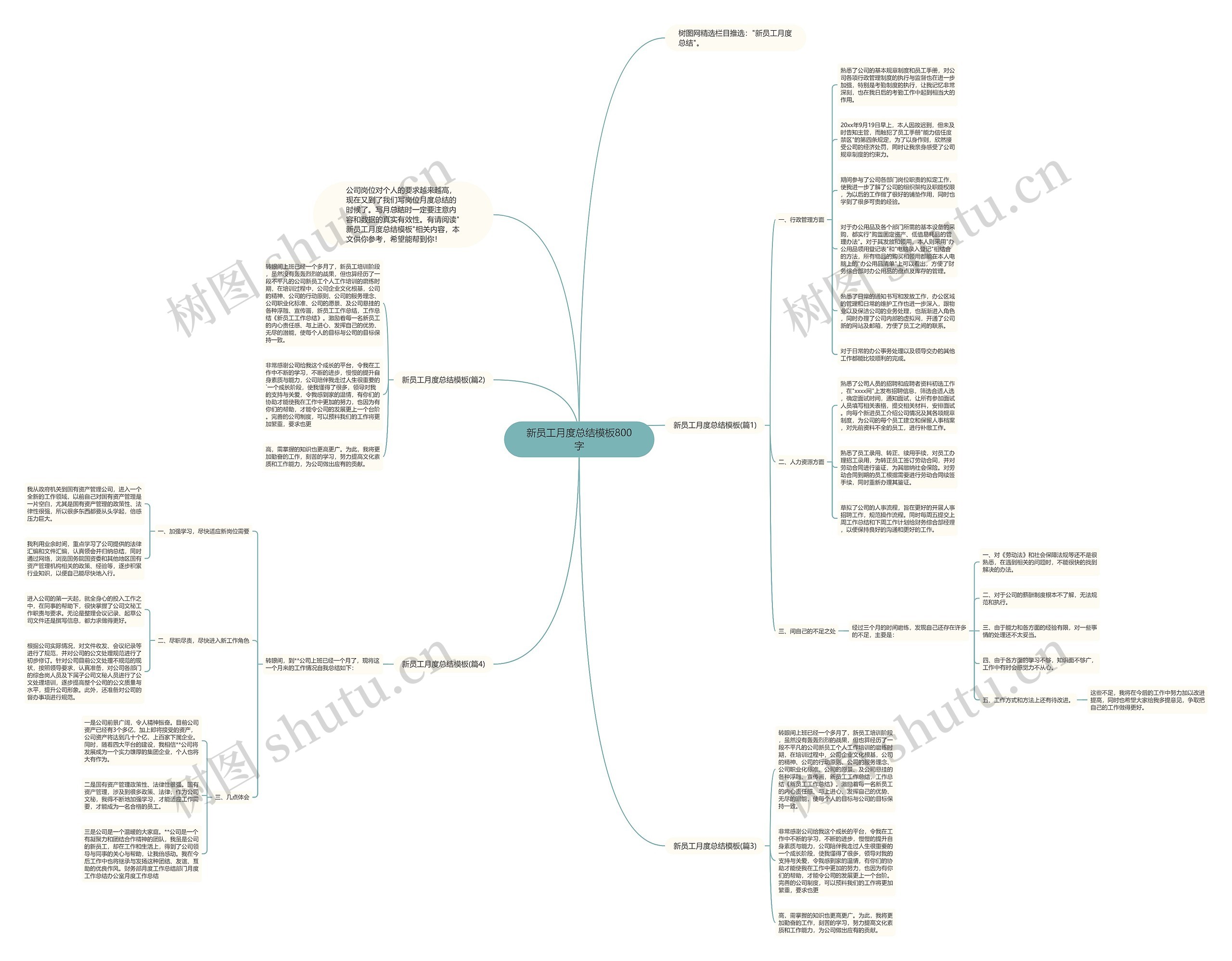 新员工月度总结800字思维导图