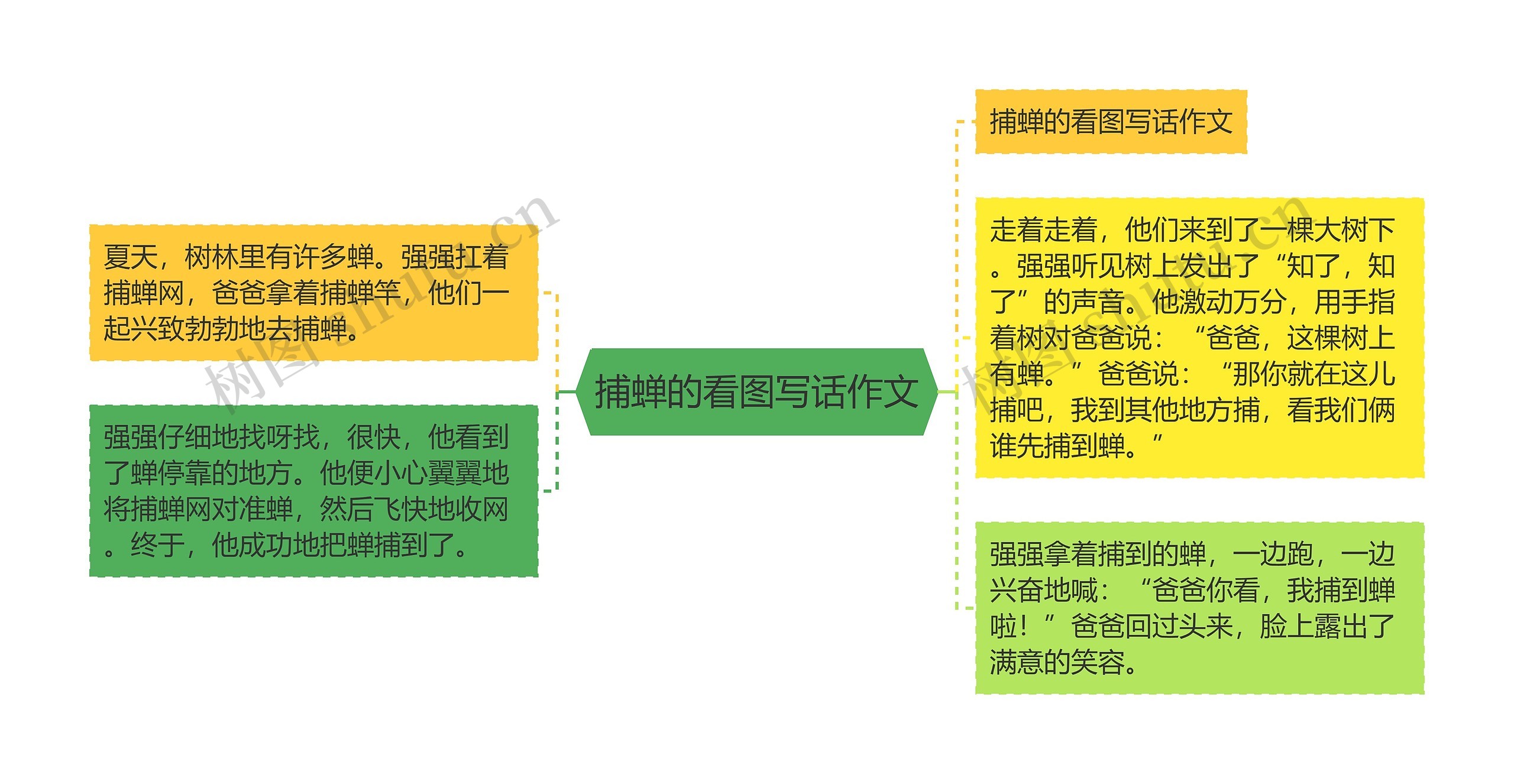 捕蝉的看图写话作文思维导图